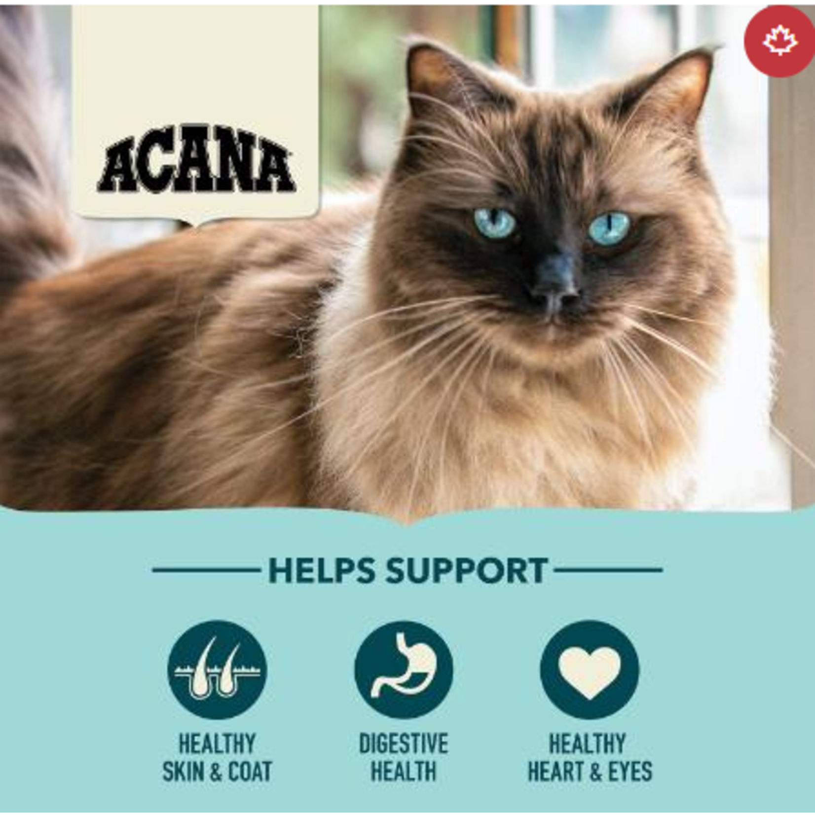 ACANA Acana Cat Bountiful Catch