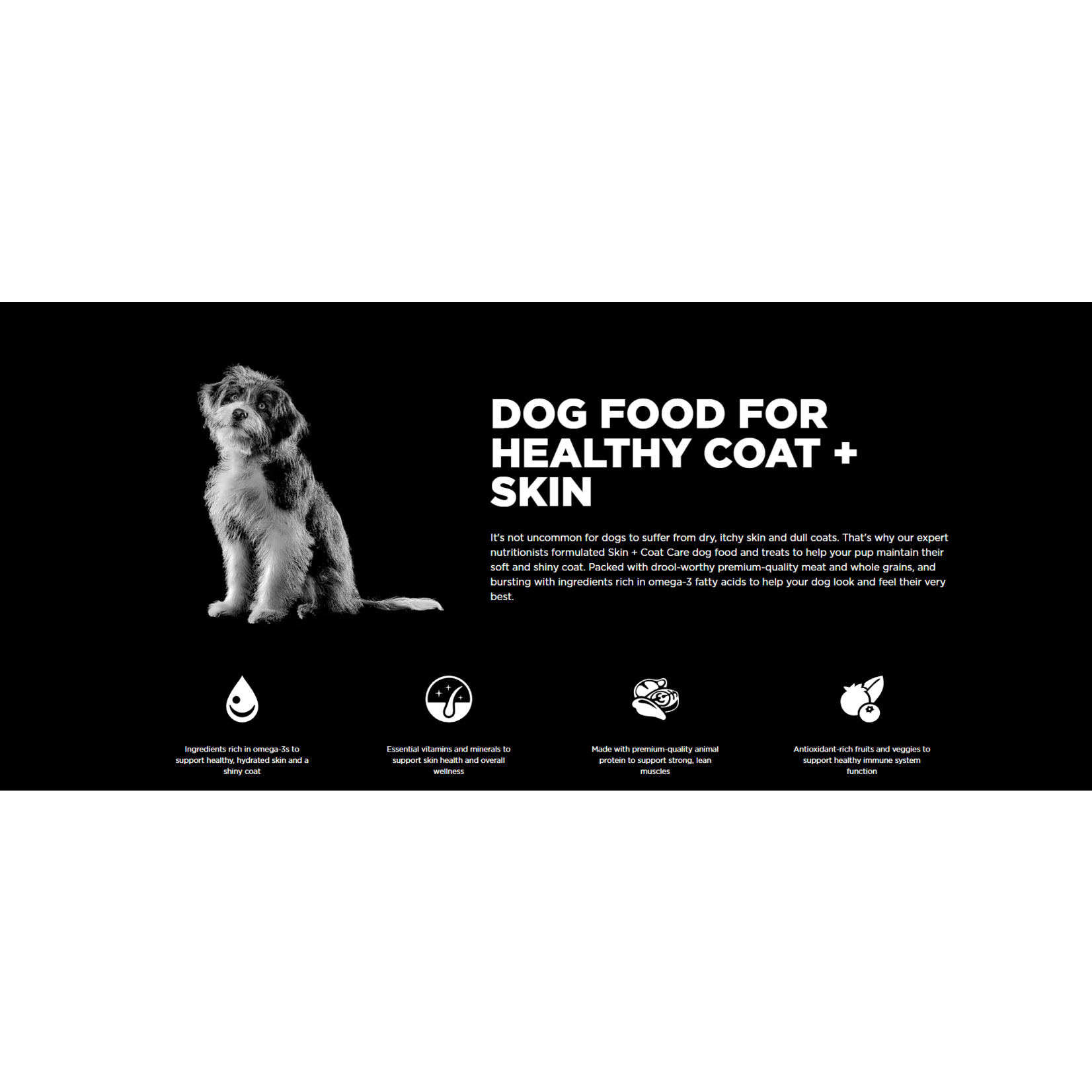 go! solutions Go! Dog Can Skin +coat care pollock pate 354g