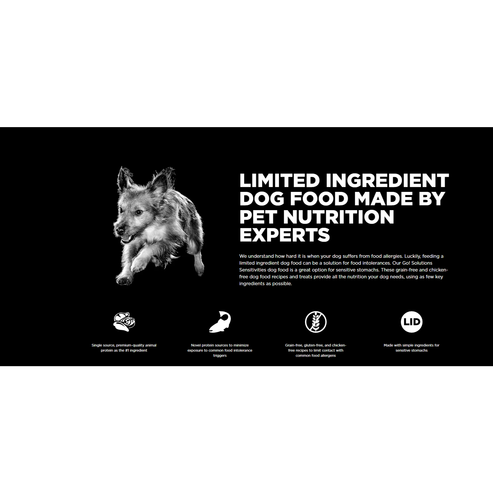 go! solutions Go! Dog Can sensitivities limited Ingredients GF shredded turkey recipe 354g