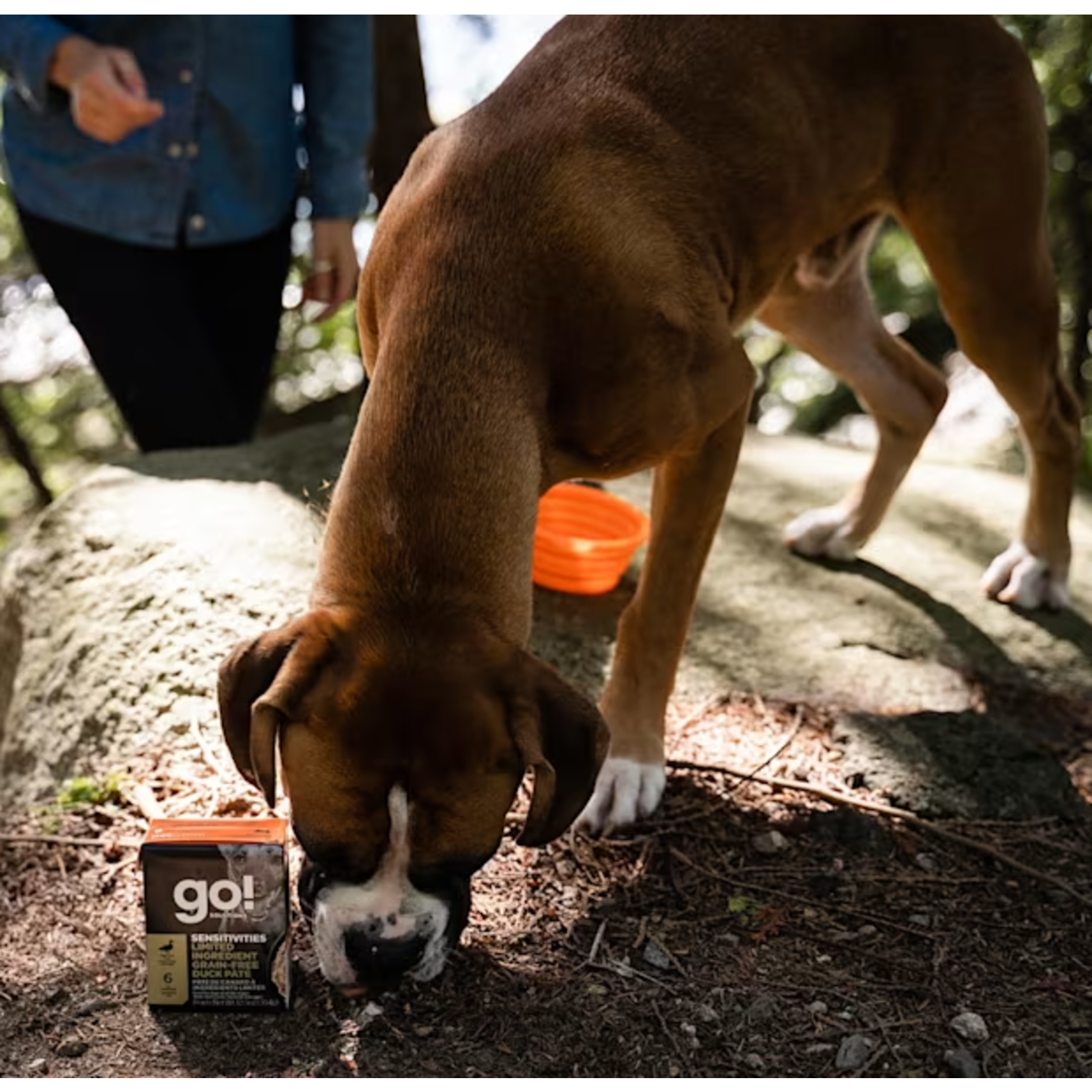 go! solutions Go! Dog Can Sensitivities LID GF Duck pate 354g