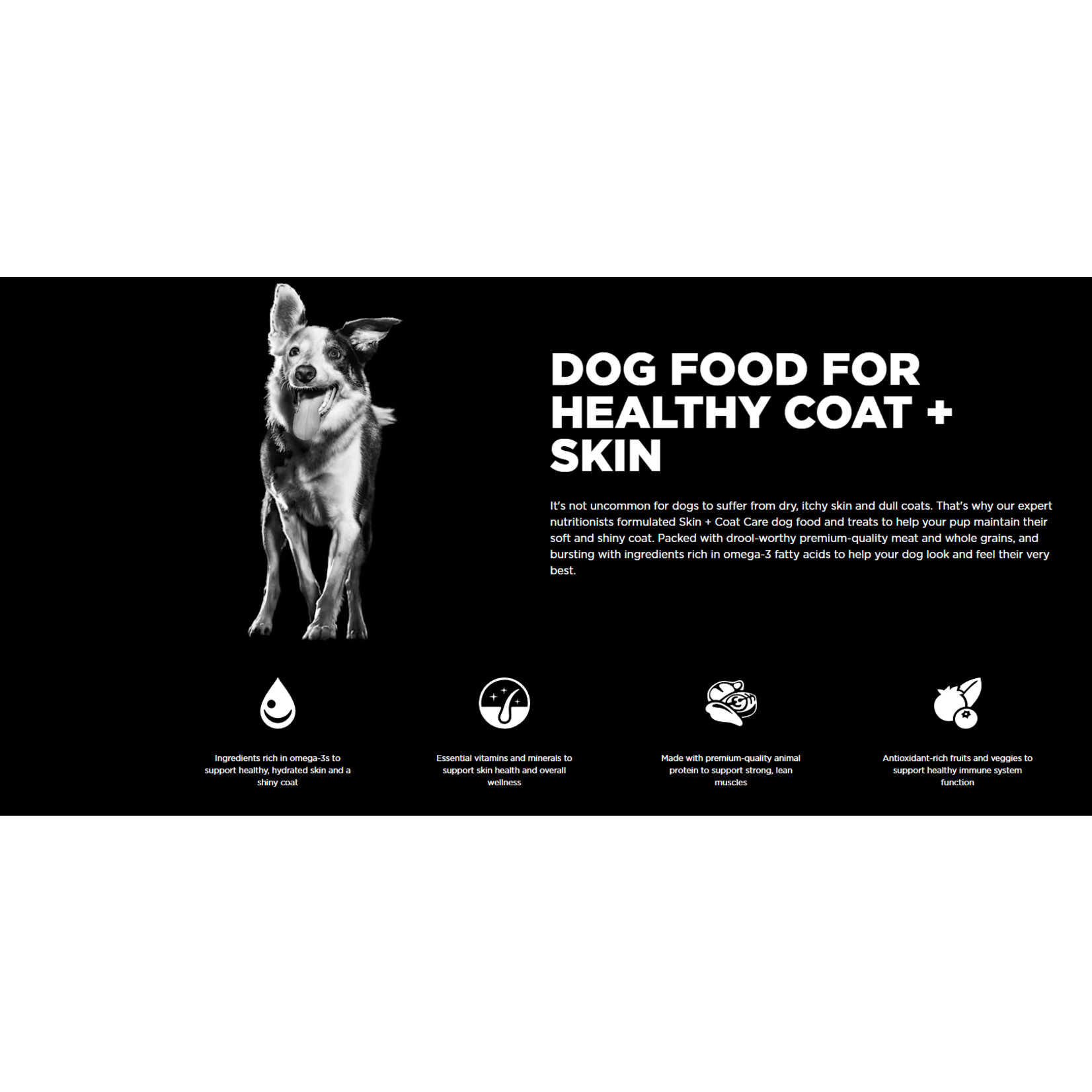 go! solutions Go! Dog Can  Skin + coat care shredded chicken recipe 354g