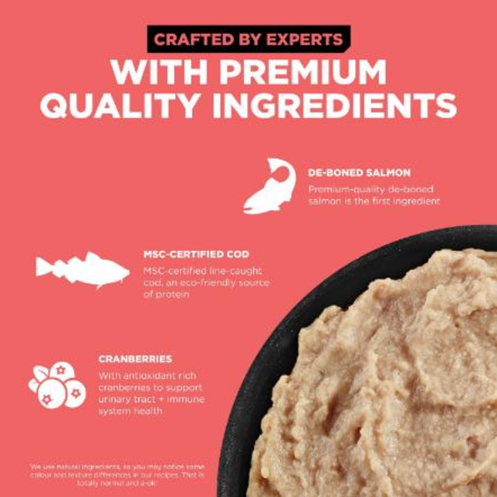 go! solutions Go! Cat Can carnivore grain free salmon + cod pate