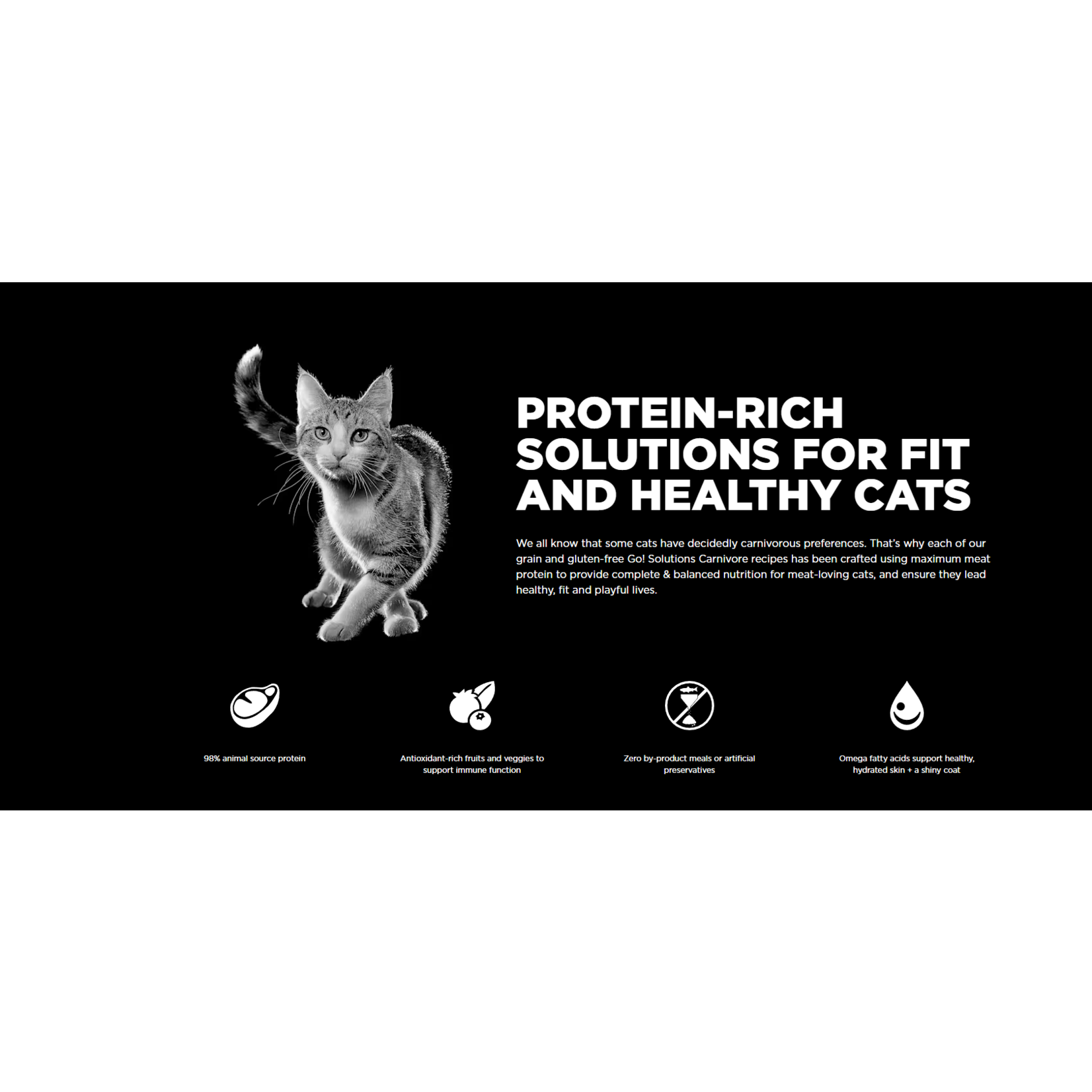 go! solutions Go! Cat Can carnivore grain free salmon + cod pate
