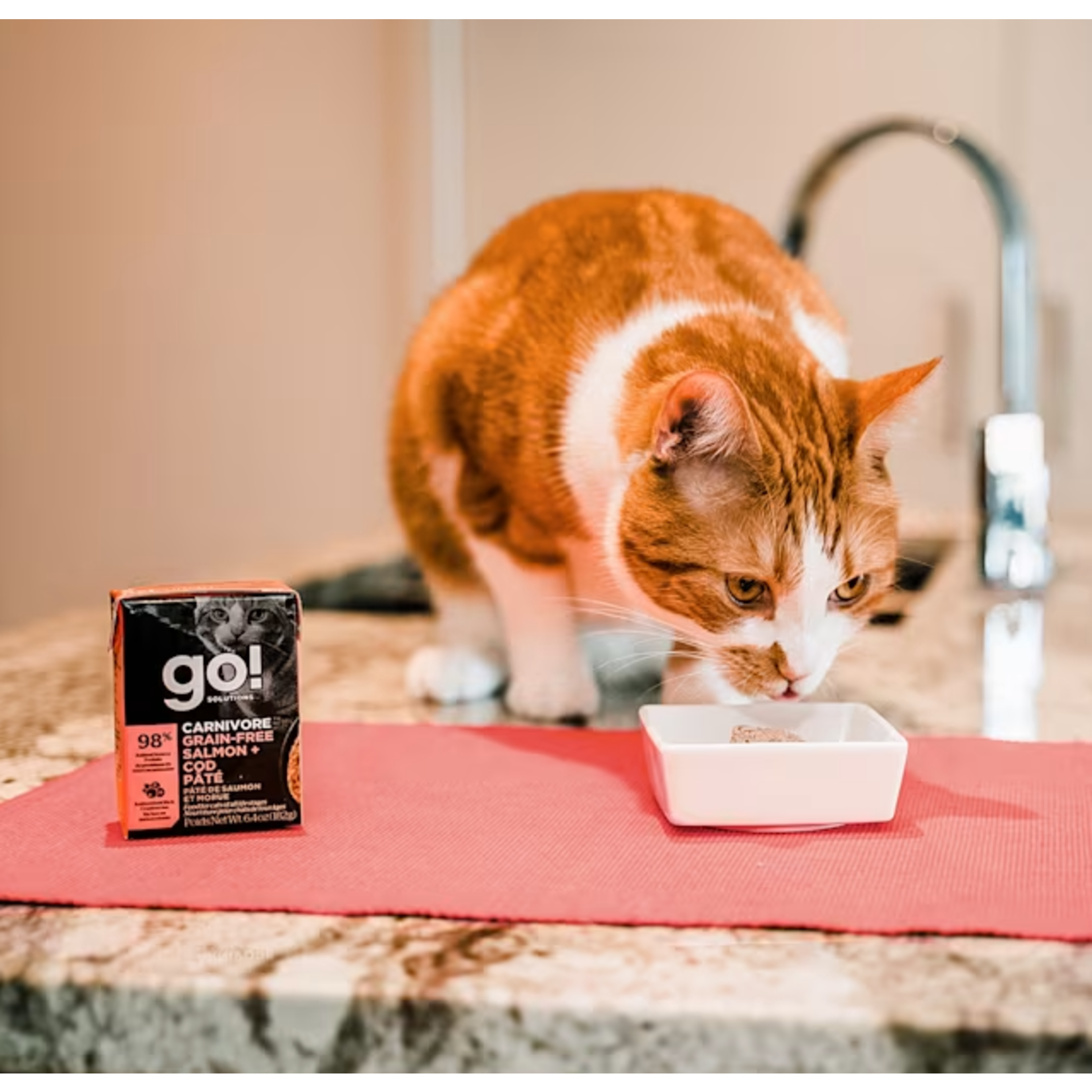 go! solutions Go! Cat Can carnivore grain free salmon + cod pate