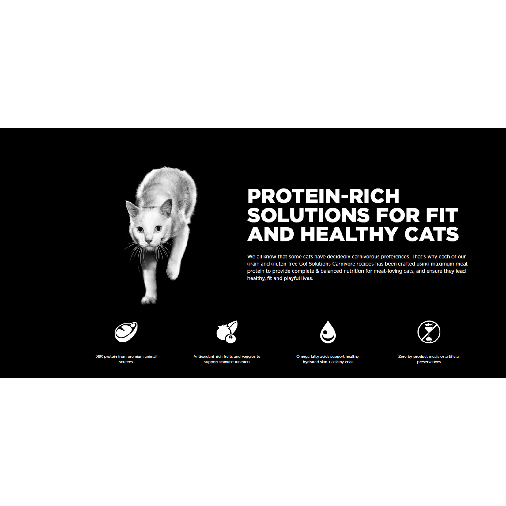 go! solutions Go! Cat Can carnivore grain free chicken+turkey + duck pate