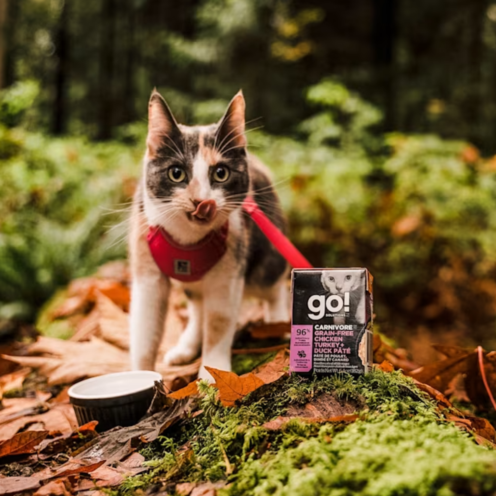 go! solutions Go! Cat Can carnivore grain free chicken+turkey + duck pate