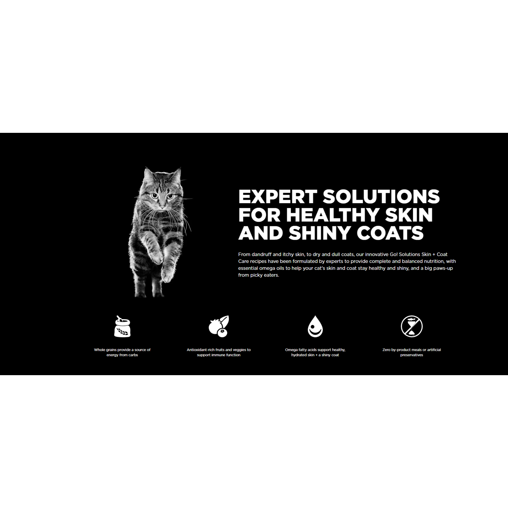 go! solutions Go! Cat Can skin+coat care salmon pate