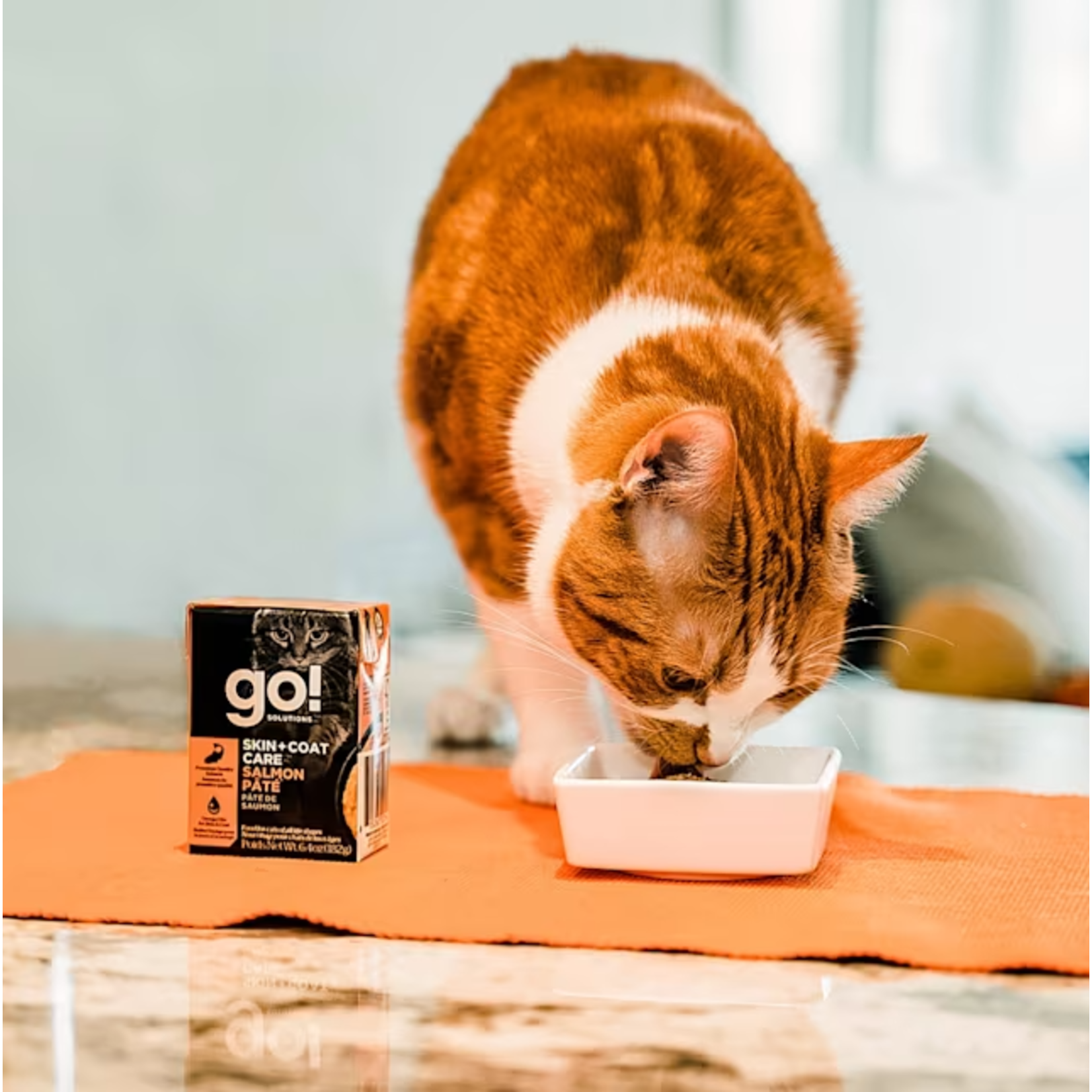 go! solutions Go! Cat Can skin+coat care salmon pate