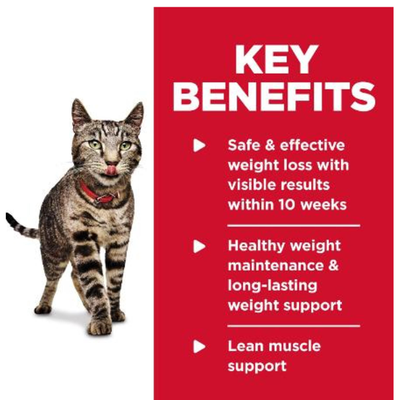 Hill's Hill's Cat Wet Food Science Diet Perfect Weight Roasted Vegetable & Chicken 2.9OZ