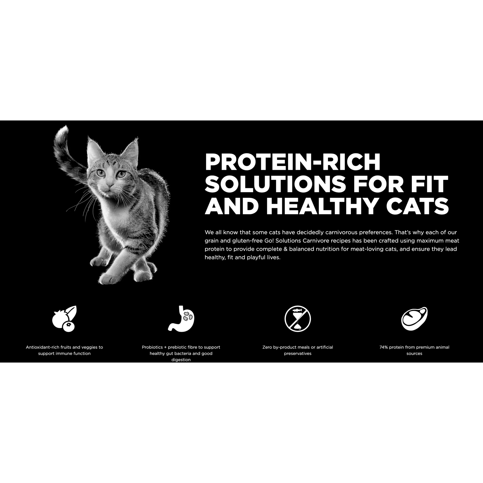 go! solutions Go! Cat Carnivore Salmon & Cod GF