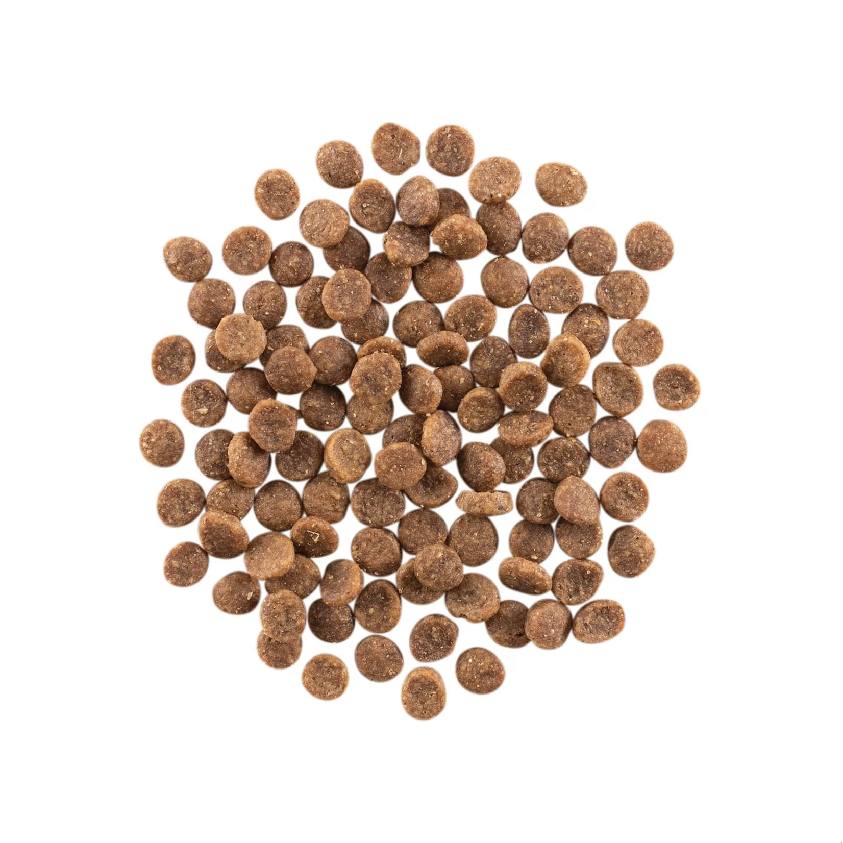go! solutions Go! Cat Carnivore Salmon & Cod GF