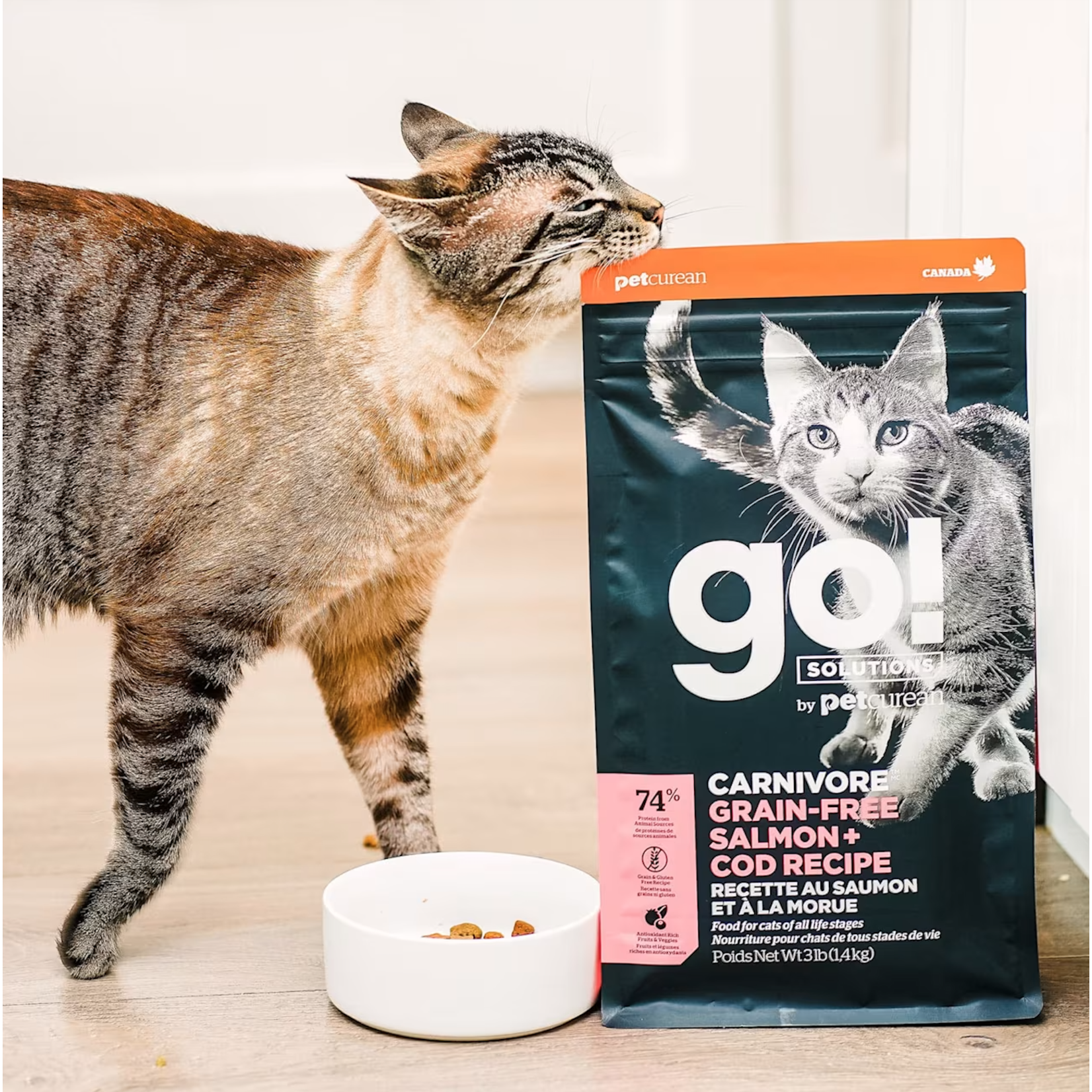 go! solutions Go! Cat Carnivore Salmon & Cod GF