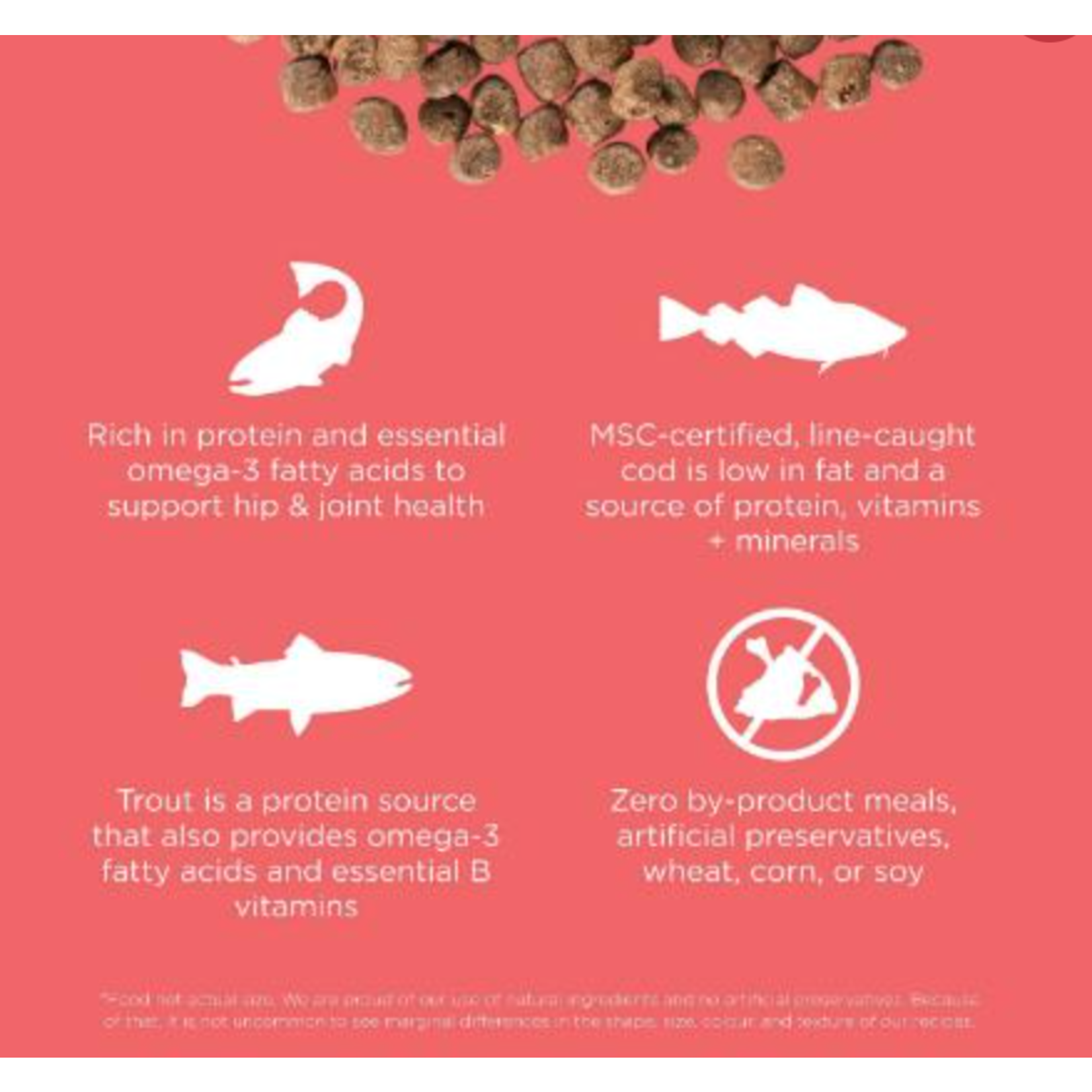 go! solutions Go! Cat Carnivore Salmon & Cod GF