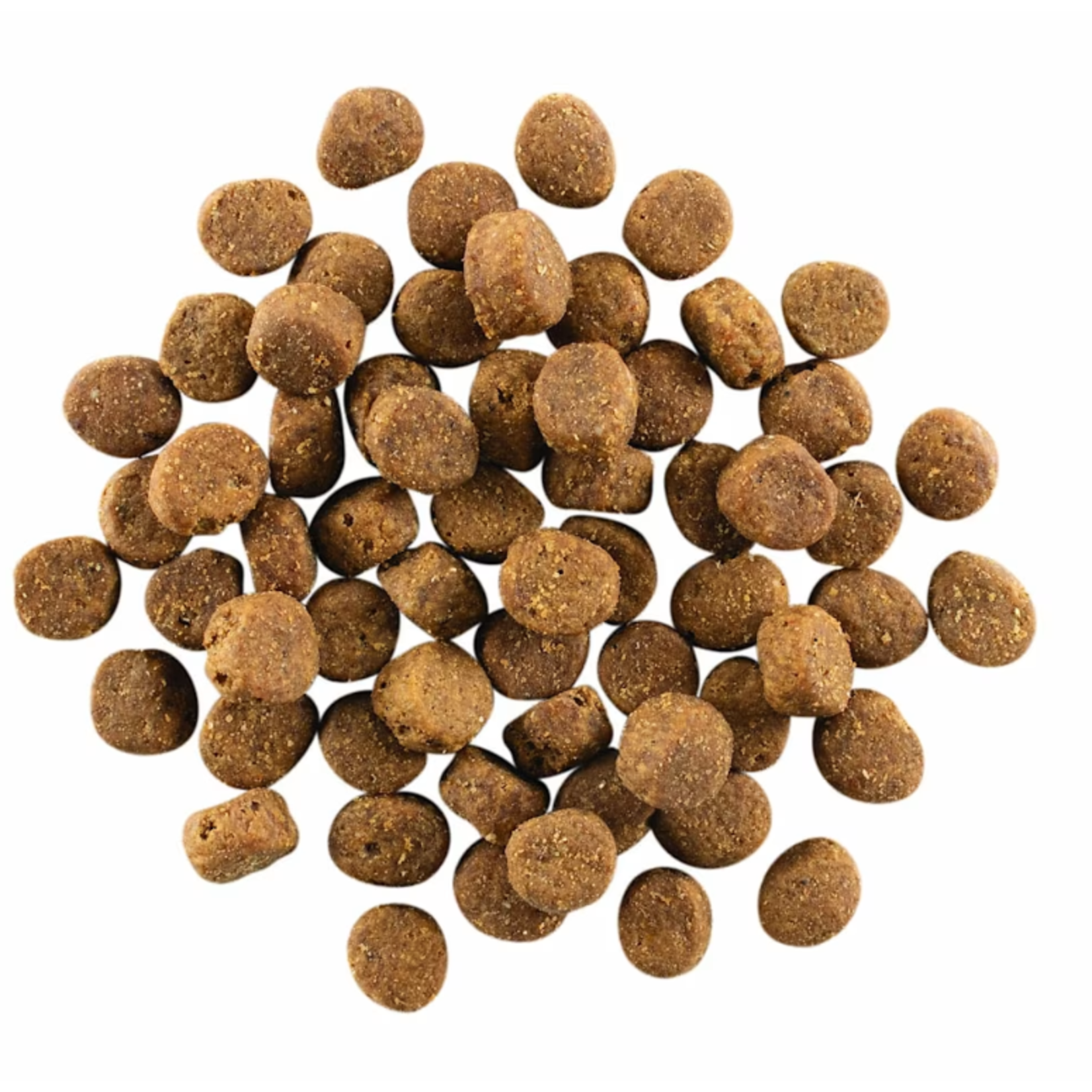 go! solutions Go! Dog Carnivore GF Salmon & Cod