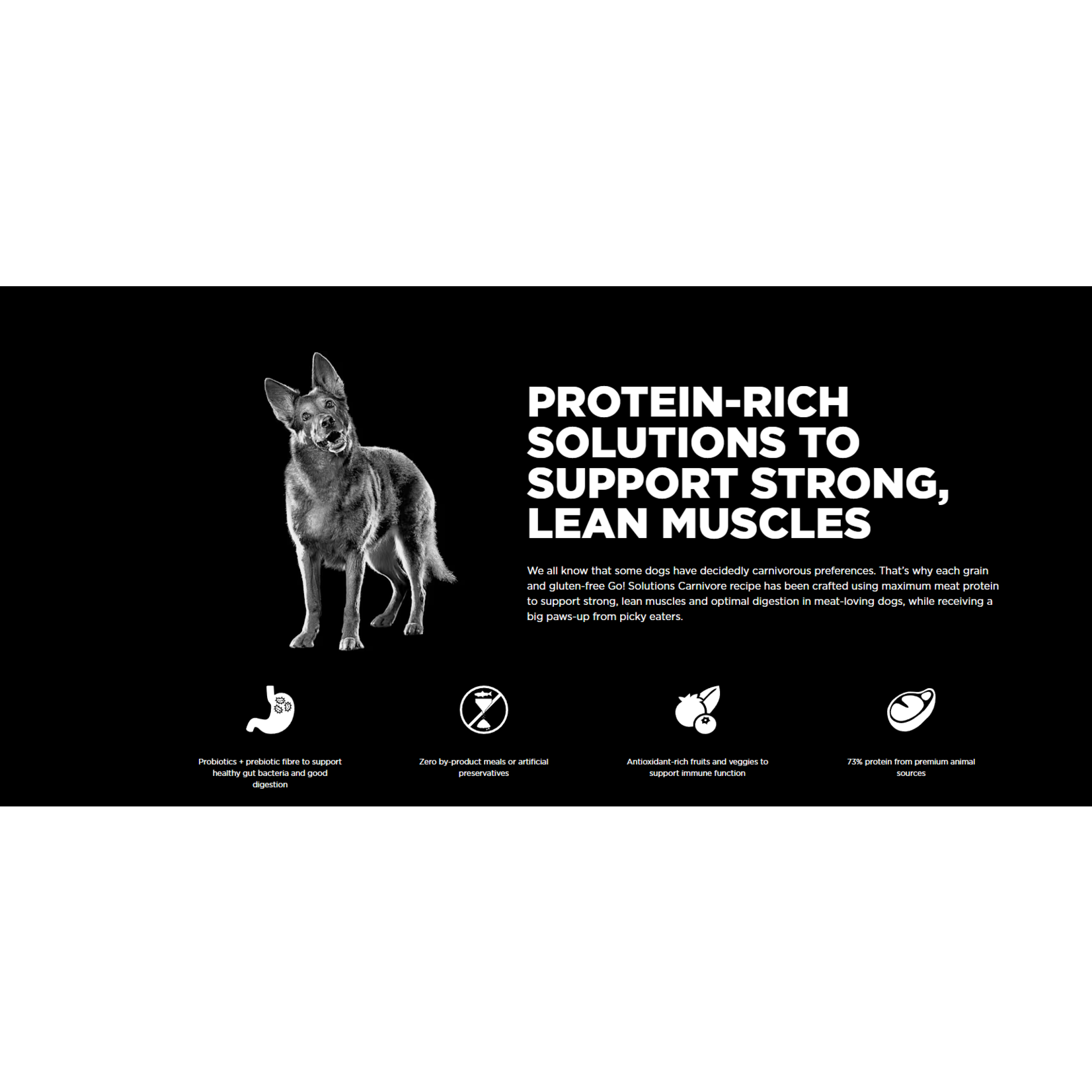 go! solutions Go! Dog Carnivore GF Salmon & Cod