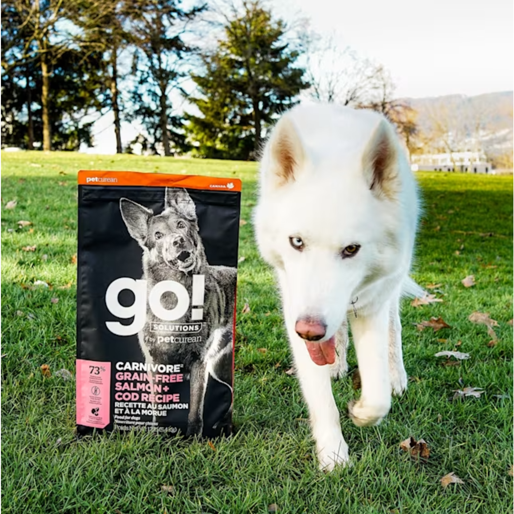 go! solutions Go! Dog Carnivore GF Salmon & Cod