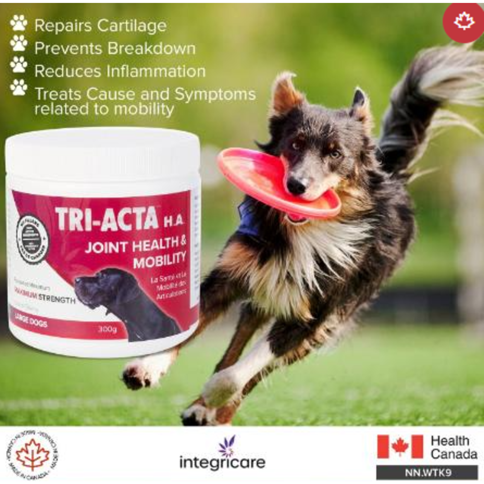 Tri-Acta Maximum Strength Joint Health + Mobility 300G For Large Dogs