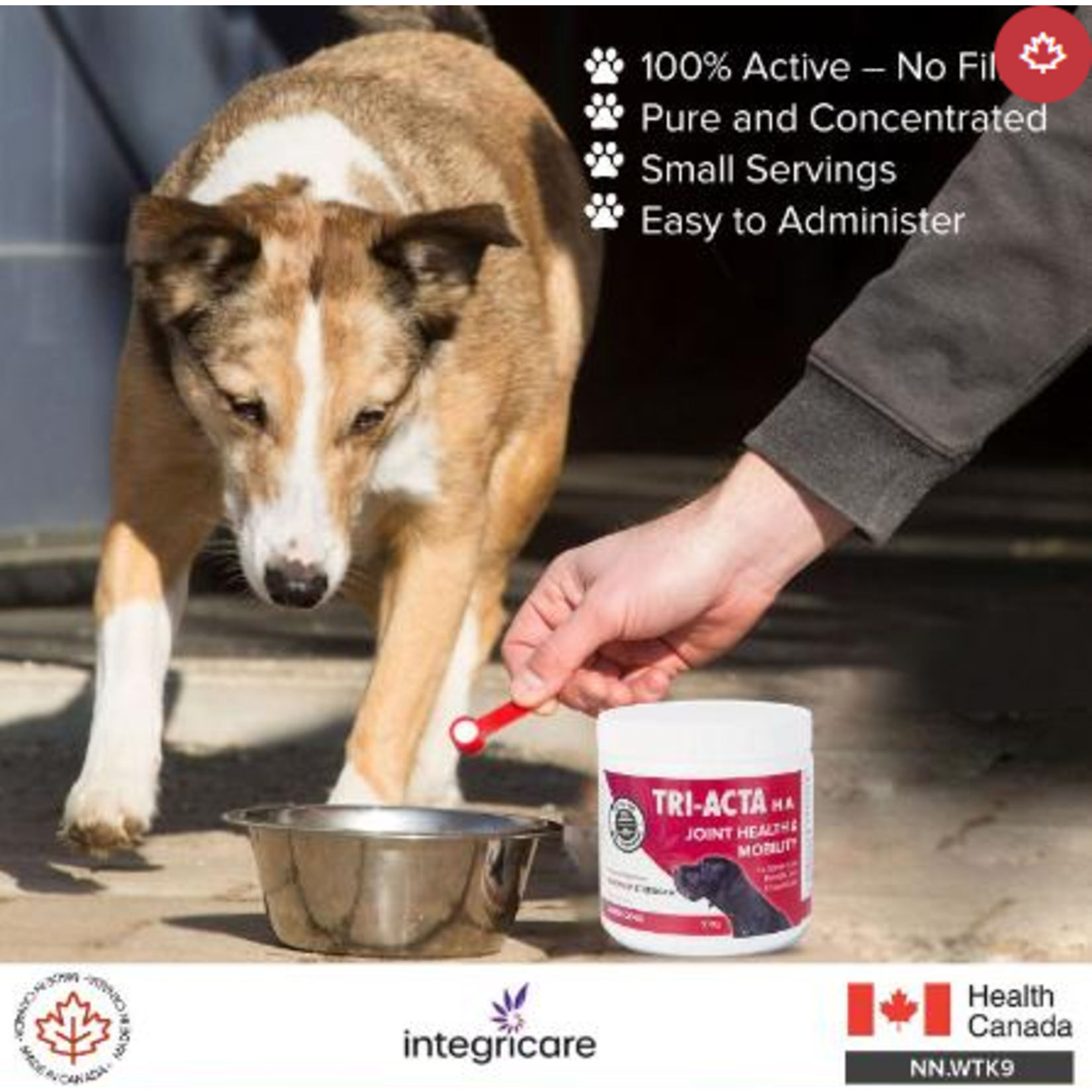 Tri-Acta Maximum Strength Joint Health + Mobility 300G For Large Dogs