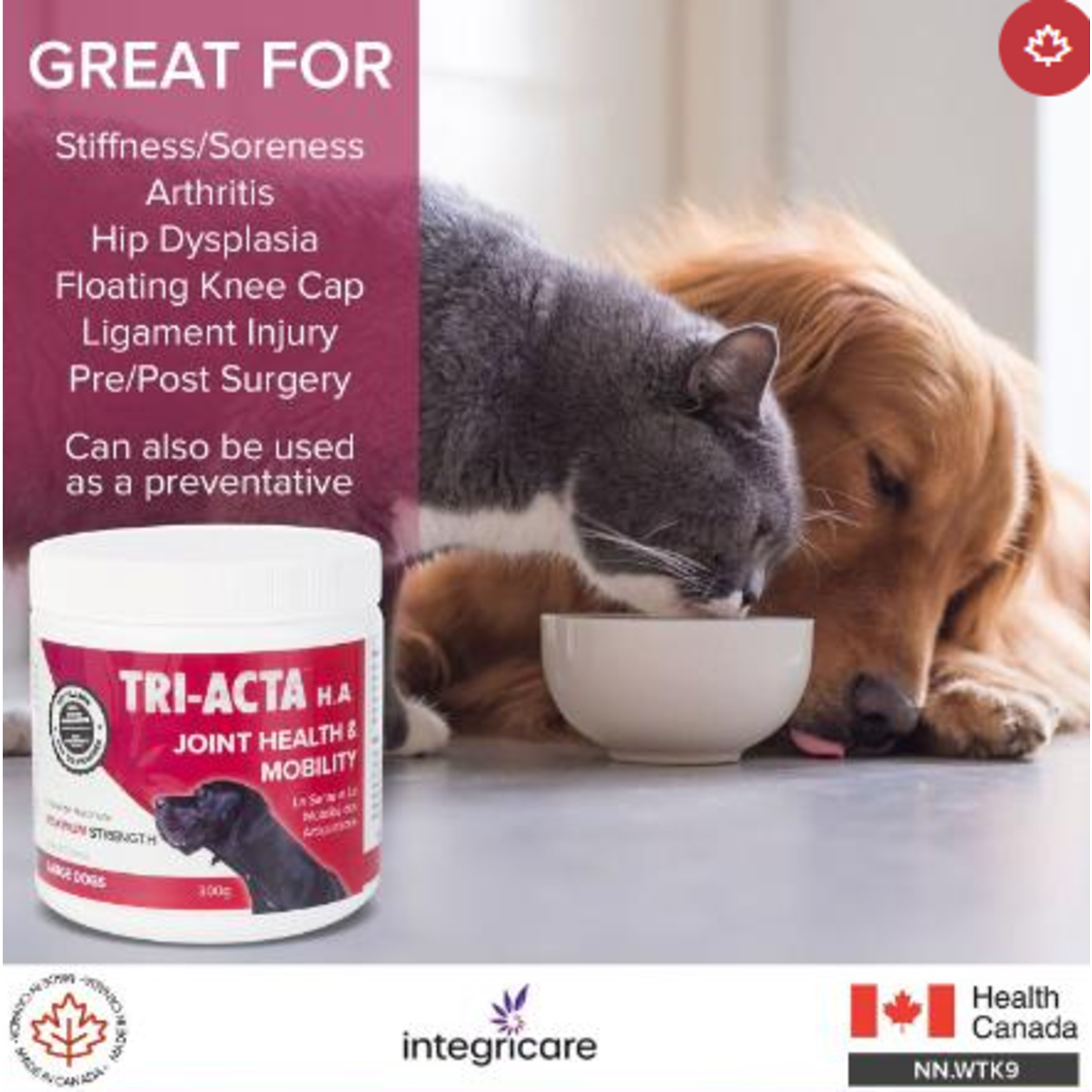 Tri-Acta Maximum Strength Joint Health + Mobility 300G For Large Dogs
