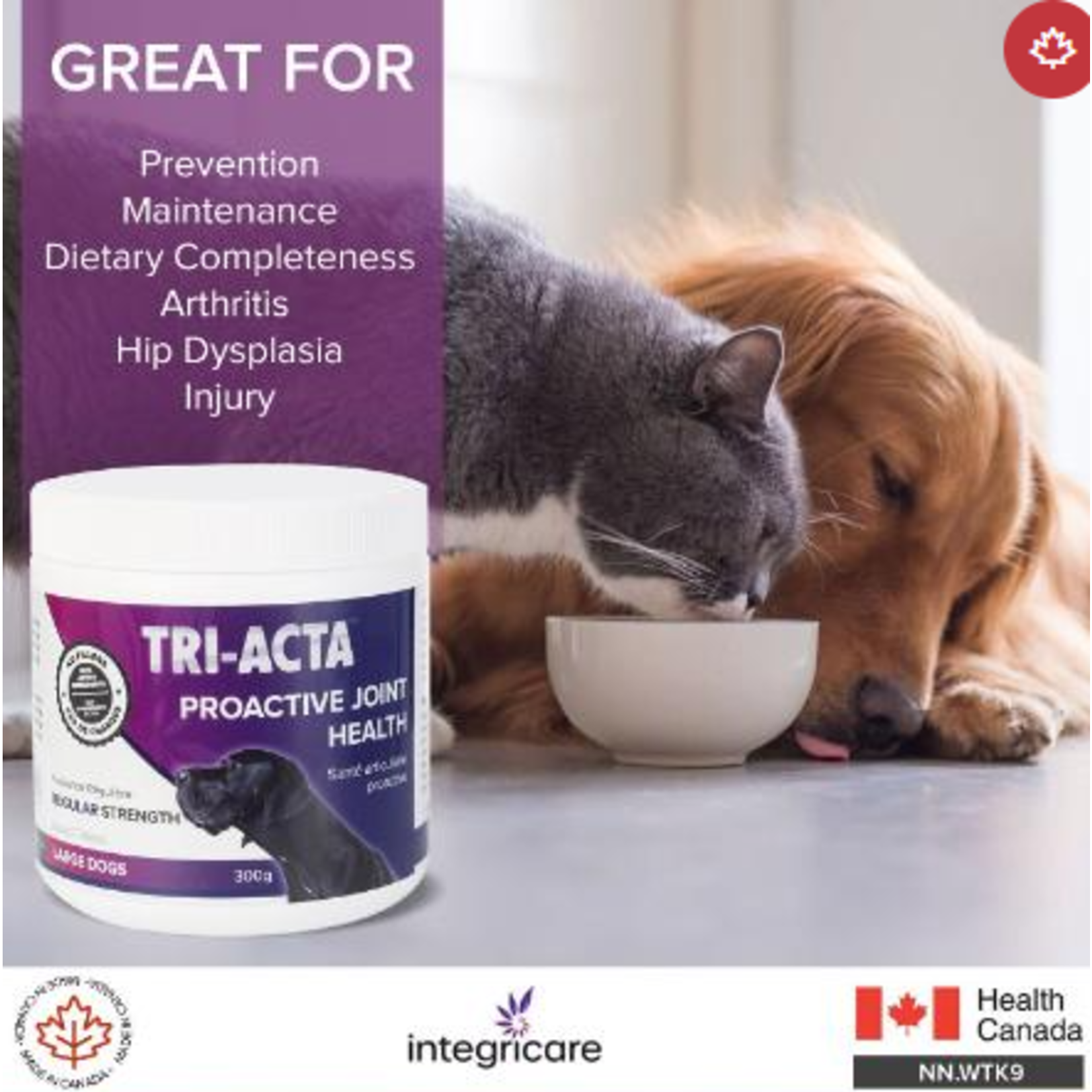 Tri-Acta Regular Strength  Joint Health + Mobility 300g  For Large Dogs