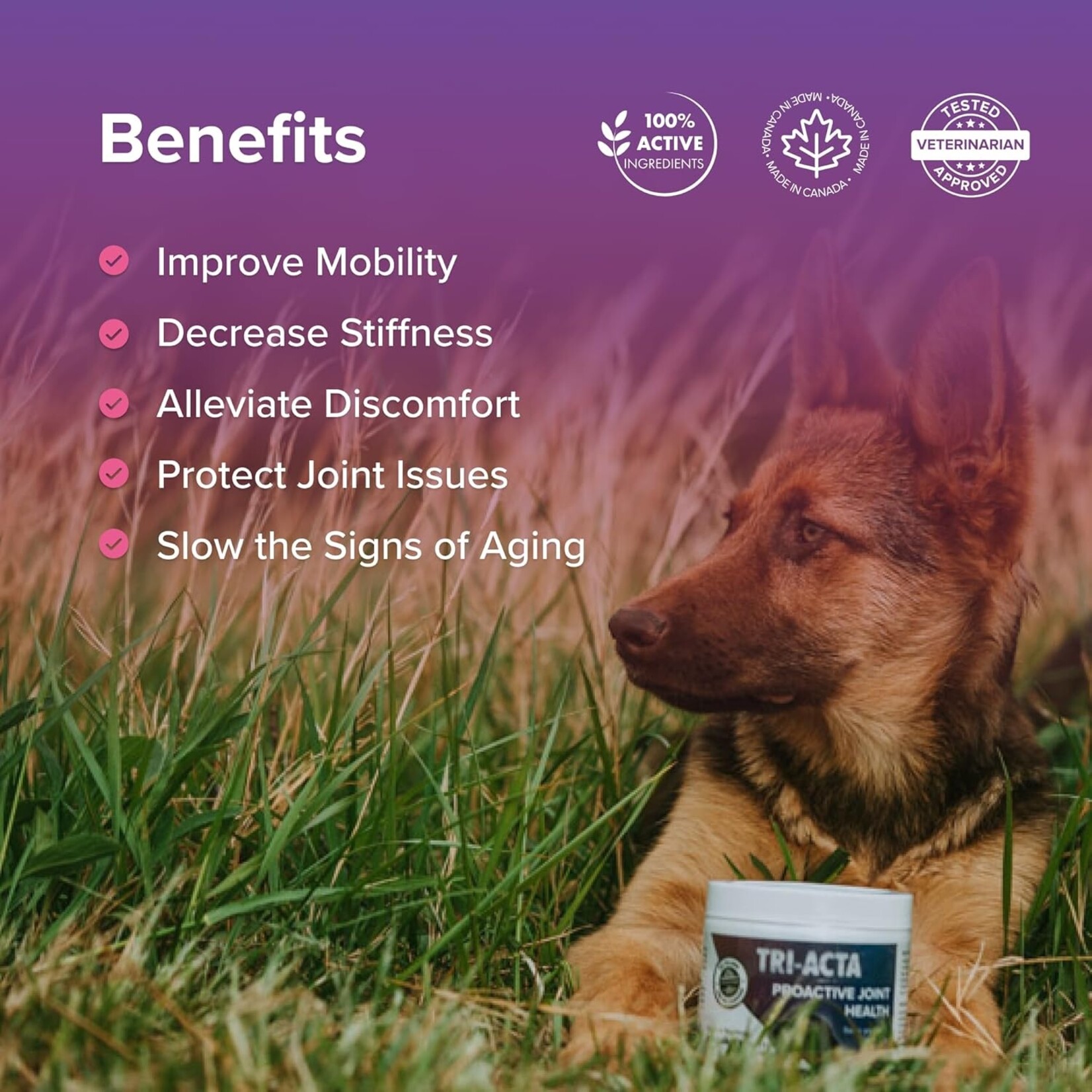 Tri-Acta Regular Strength  Joint Health + Mobility 140g  ForMedium Dogs