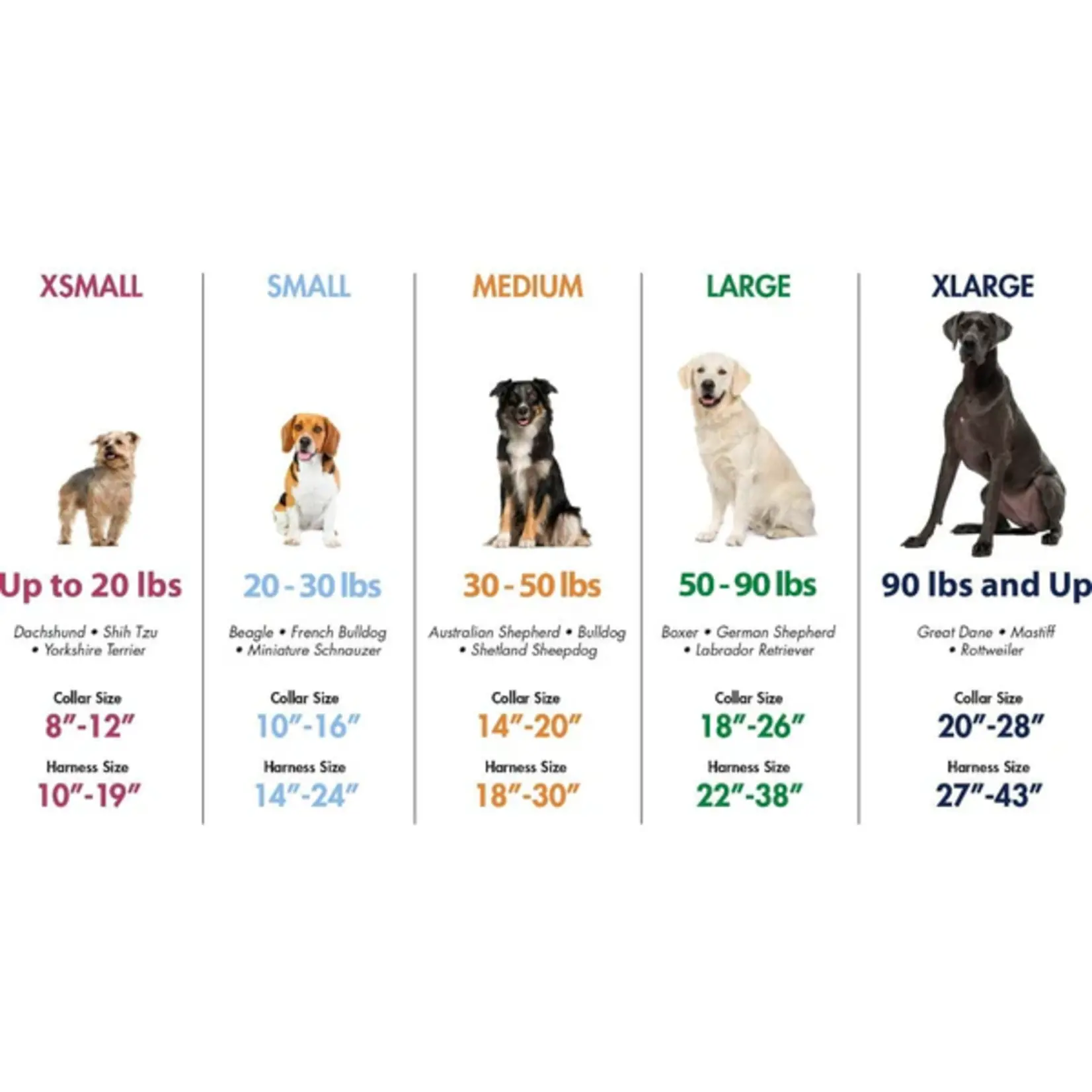 Martingale Collar