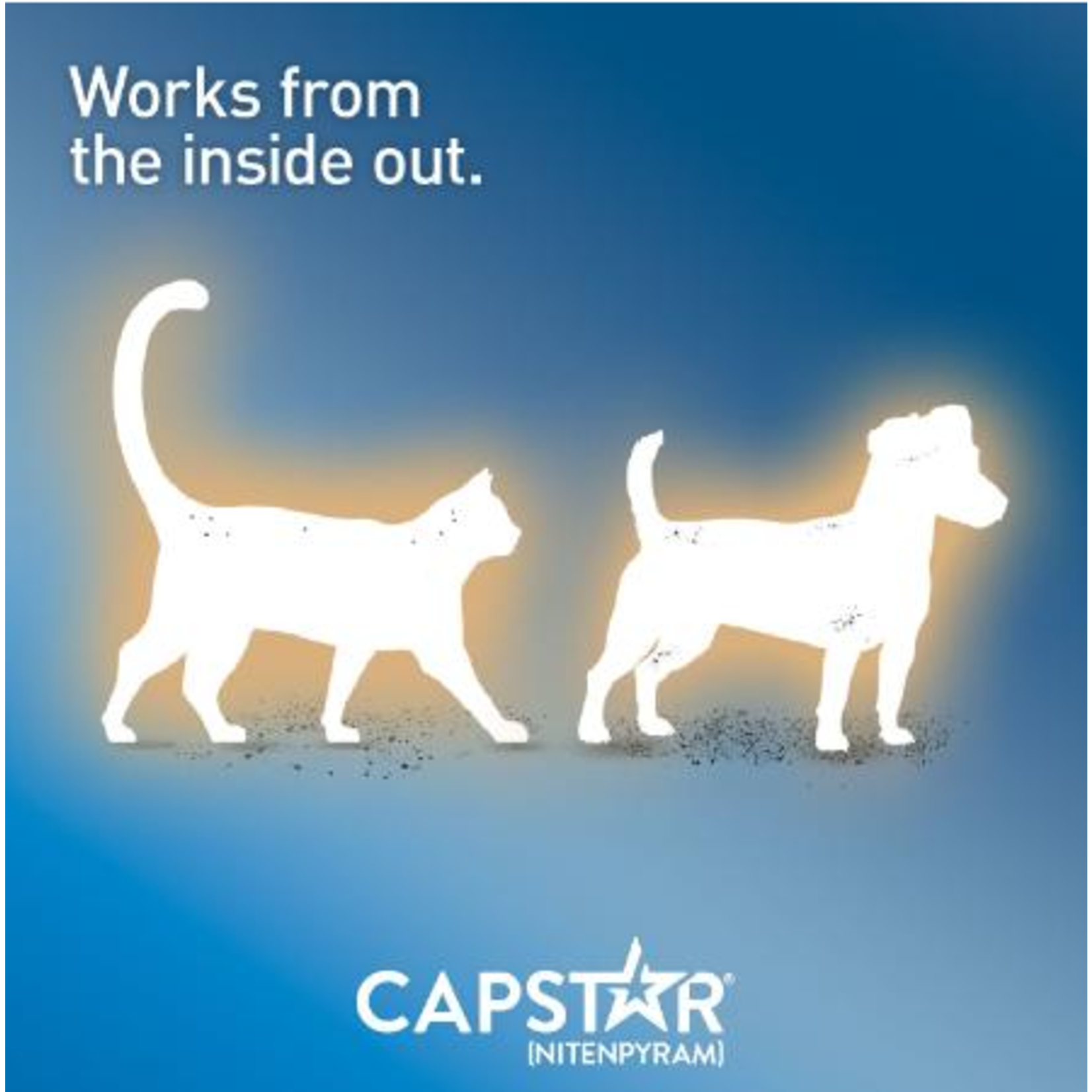 Capstar Capstar Oral Flea Tabs Small Dog & Cat Treatment 6pc