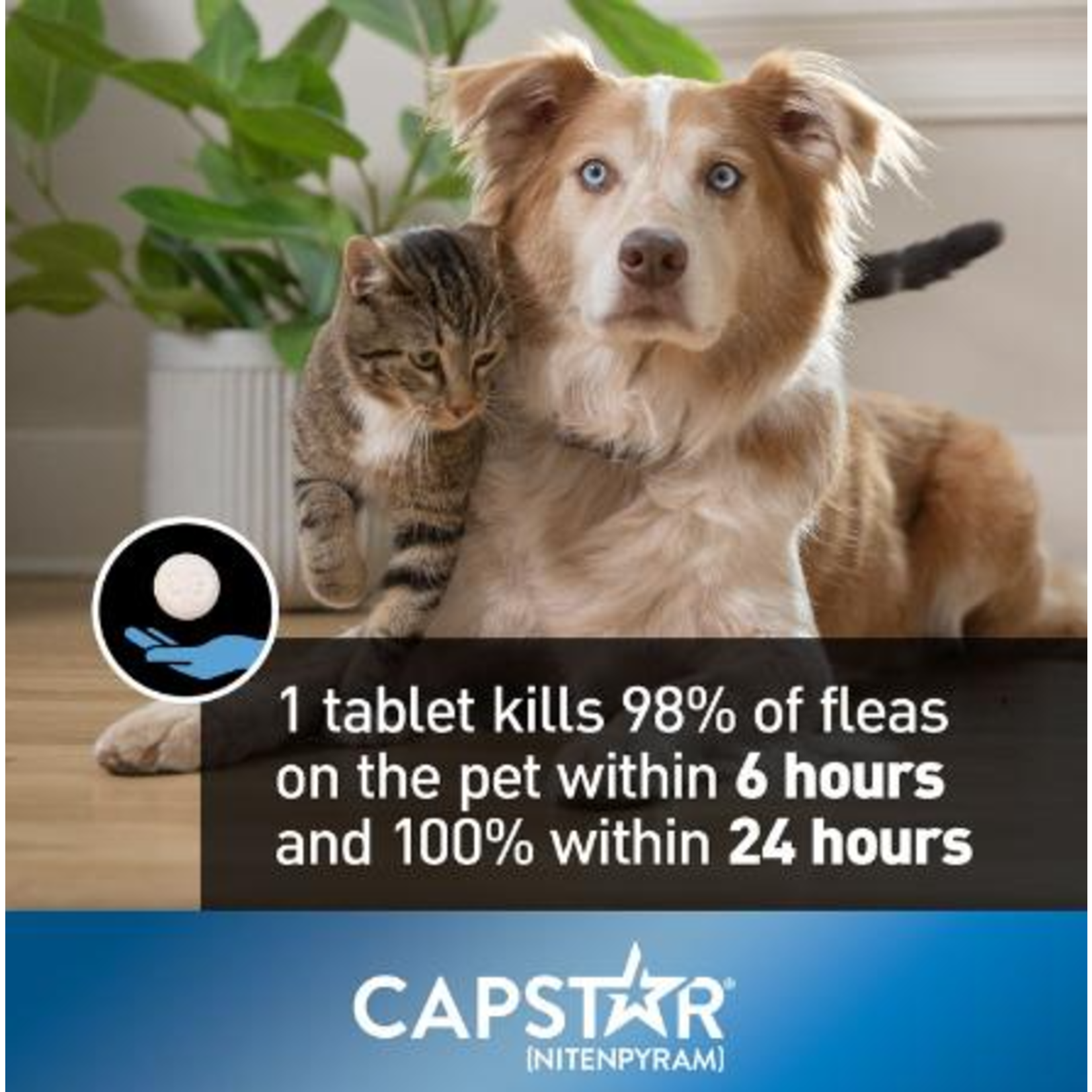 Capstar Capstar Oral Flea Tabs Small Dog & Cat Treatment 6pc