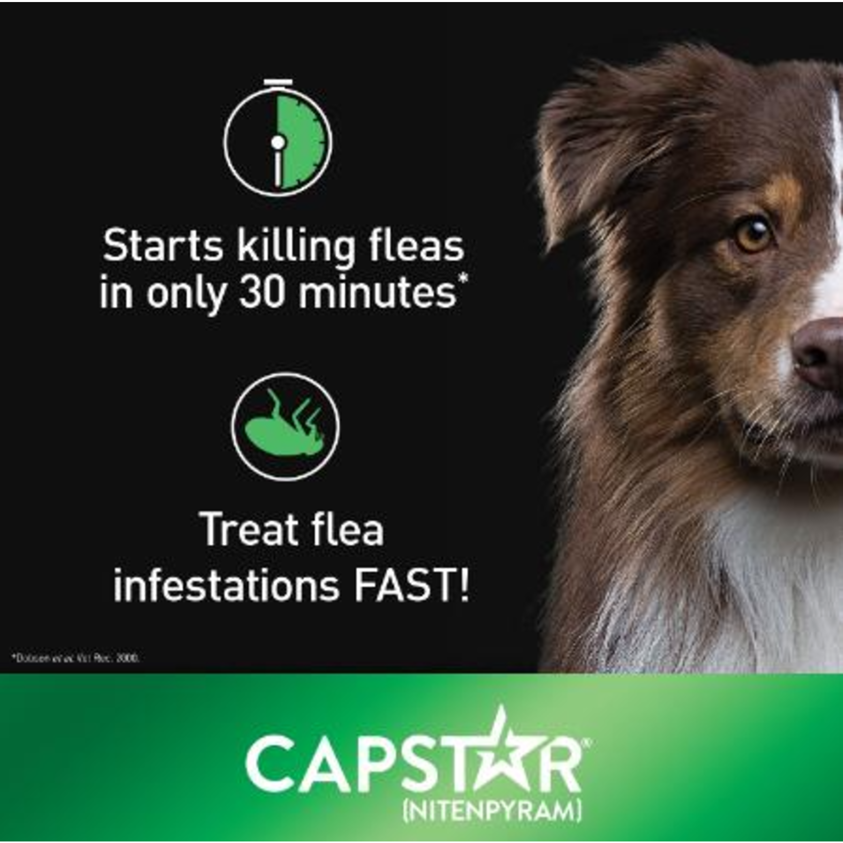 Capstar Capstar Oral Flea Tabs Medium & Large Dog Treatment 6pc