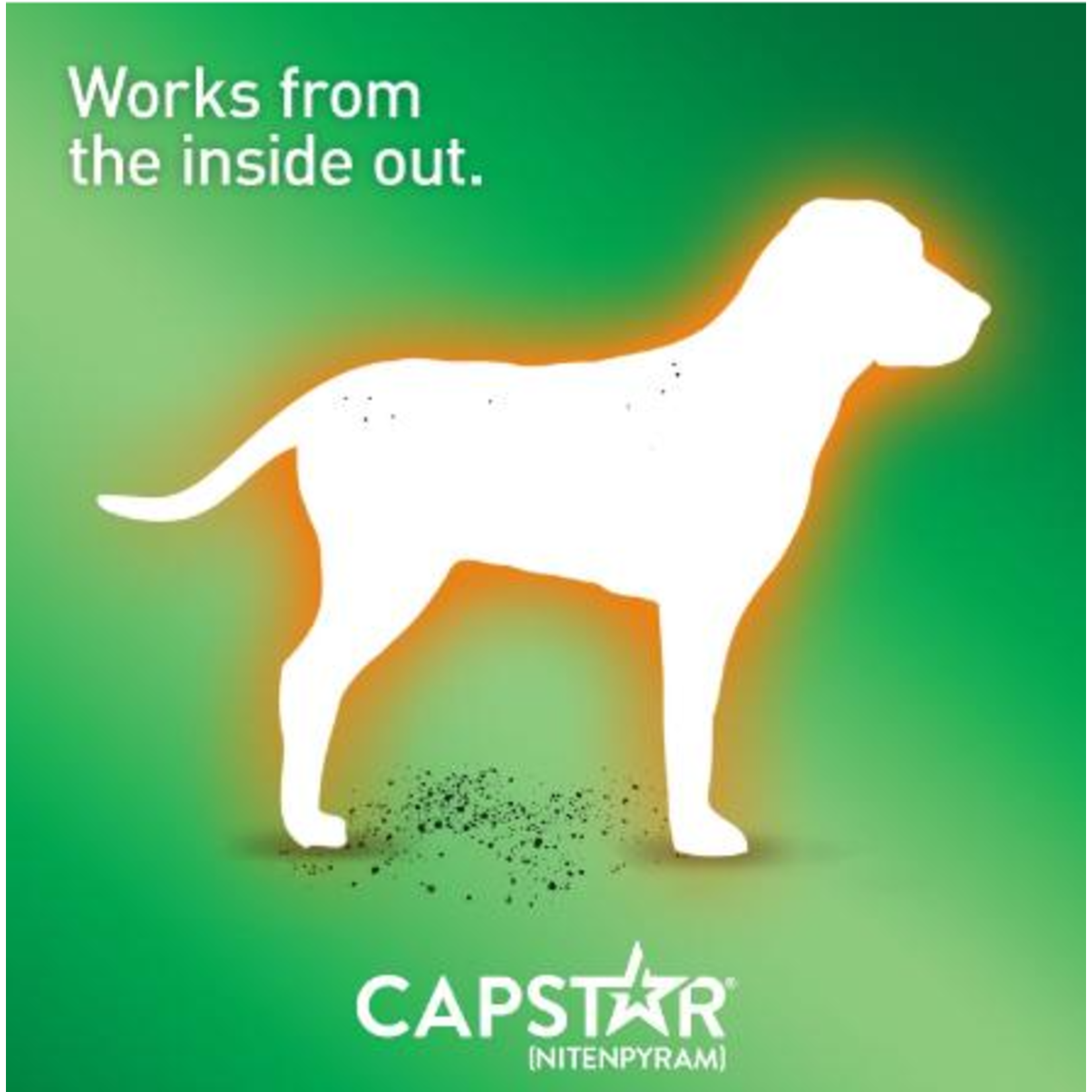 Capstar Capstar Oral Flea Tabs Medium & Large Dog Treatment 6pc