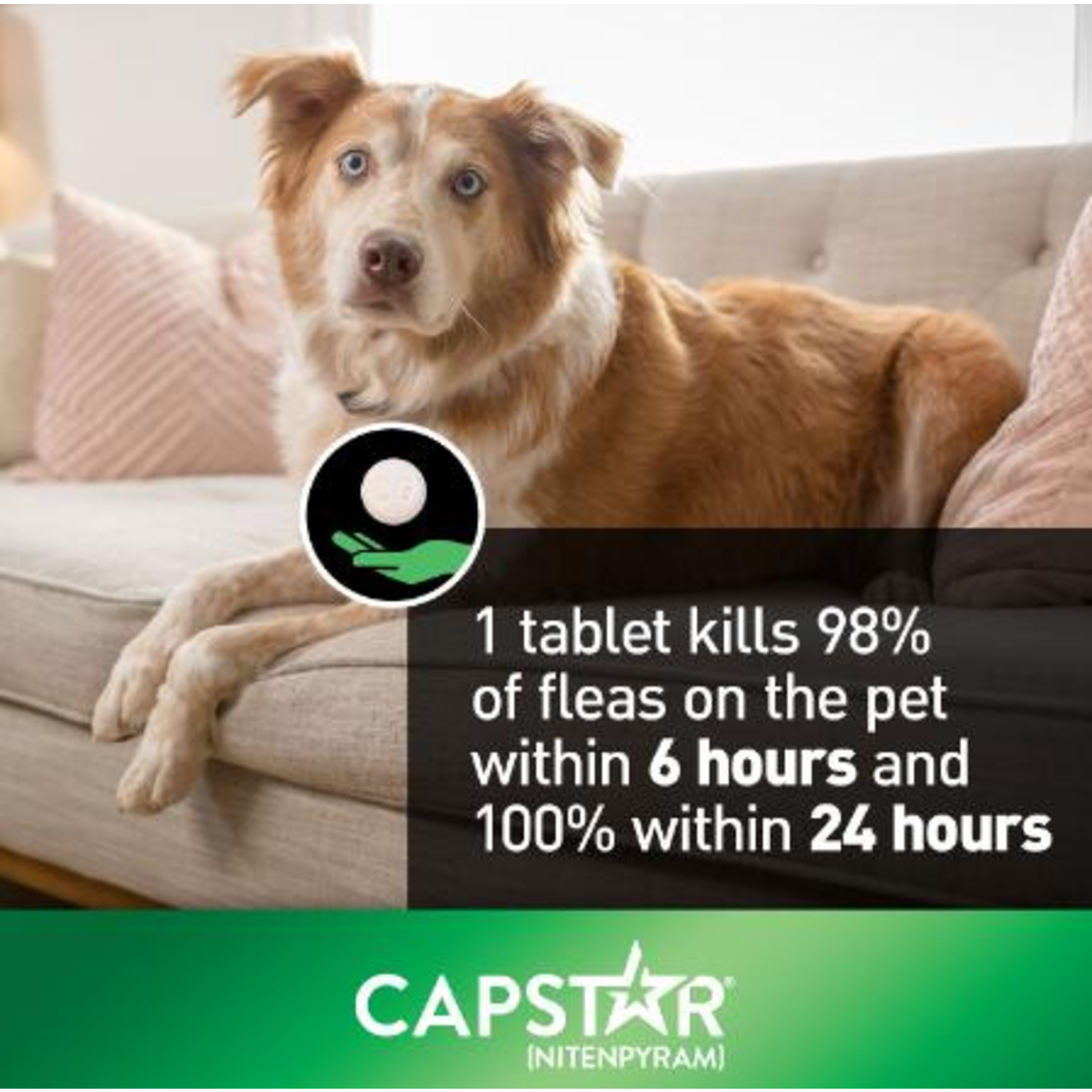 Capstar Capstar Oral Flea Tabs Medium & Large Dog Treatment 6pc