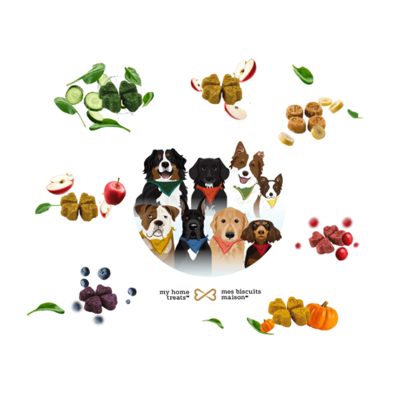 My Home Treat Urinary Health Dog Biscuit with Cranberry 170gMy Home Treats Dog Cranberry Biscuit Urinary Health 170g