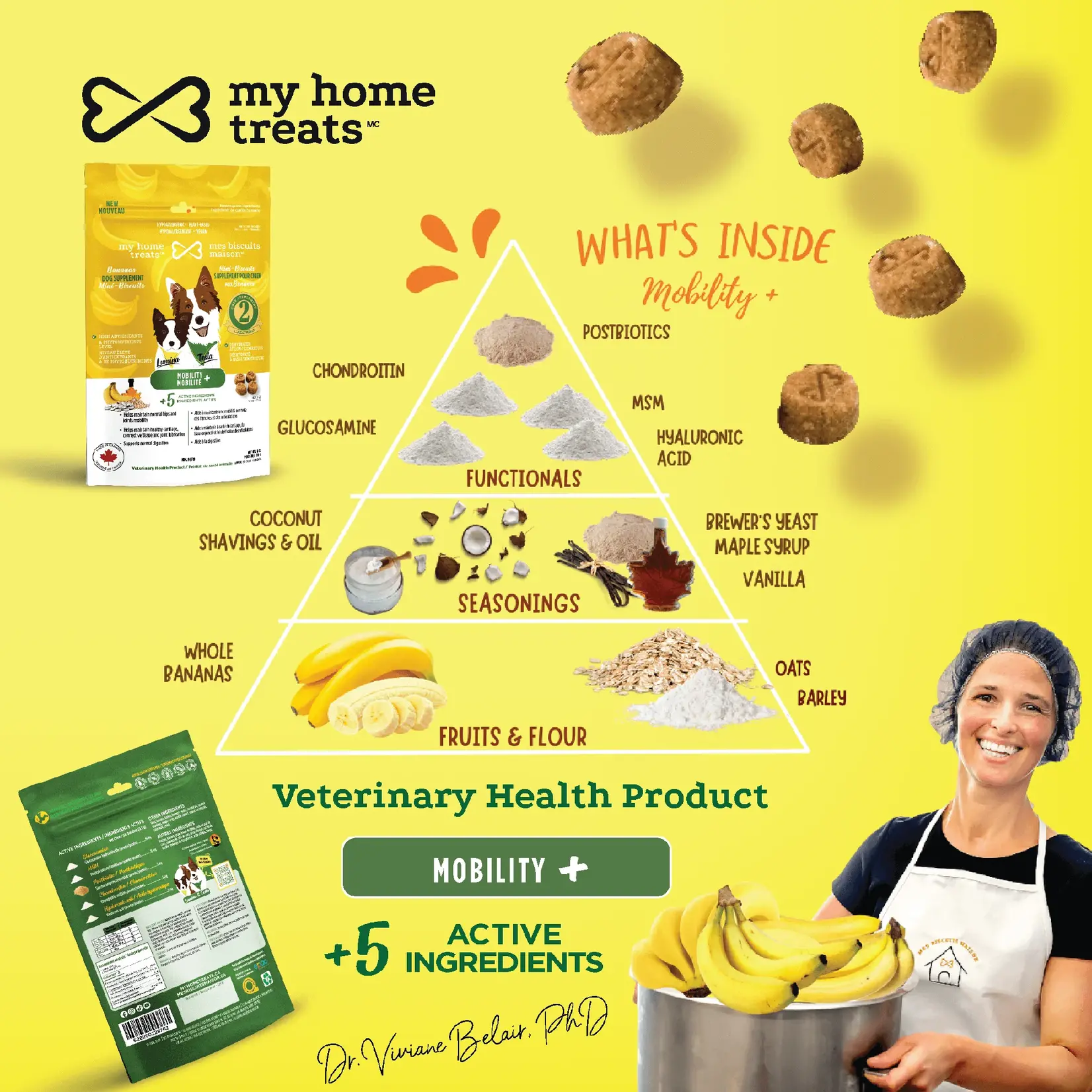 My Home Treat Healthy Mobility Dog Biscuit with Banana 170g