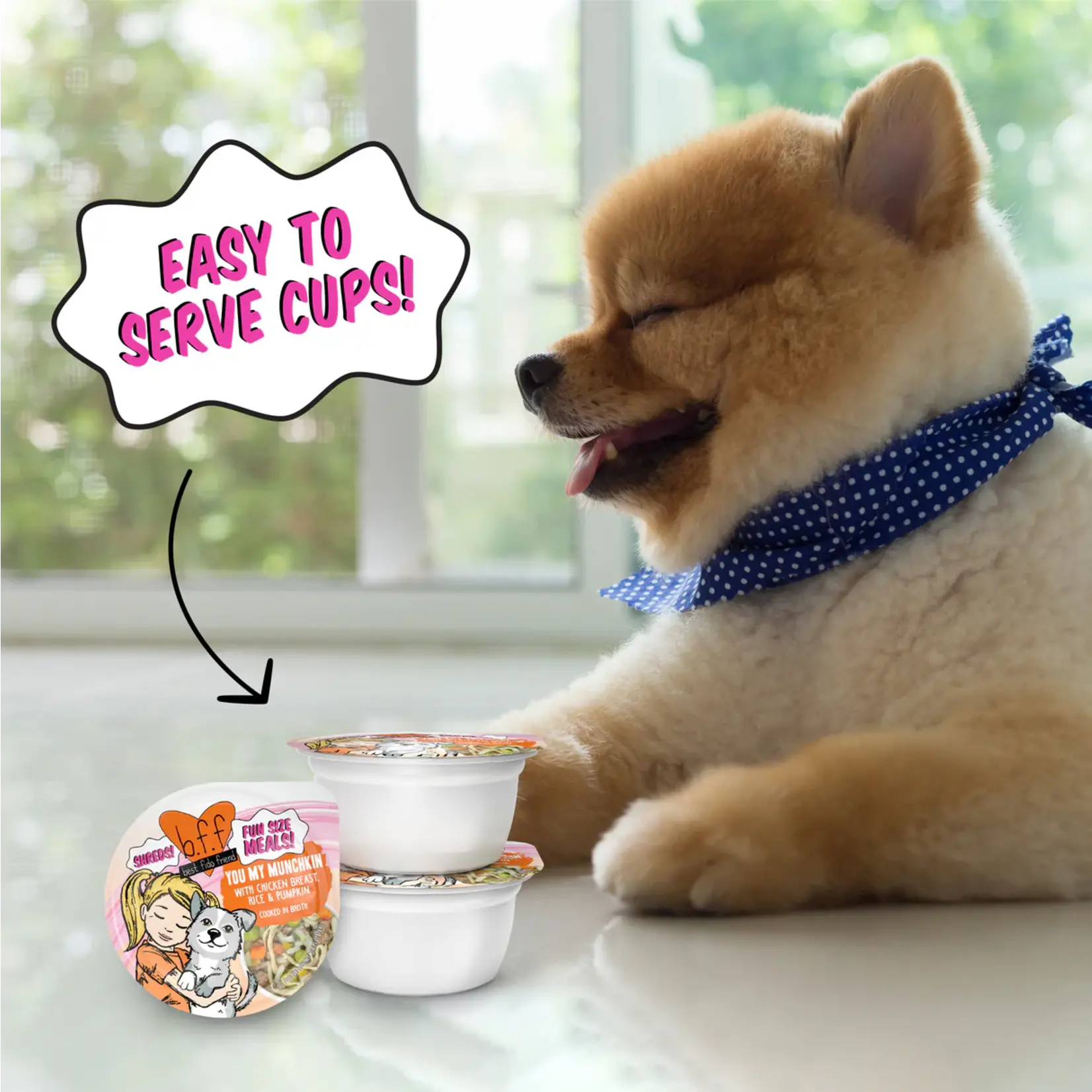 Weruva Weruva You My Munchkin dog Wet Food Chicken Bresat & Rice & Pumpkin Fun Size 2.75Oz