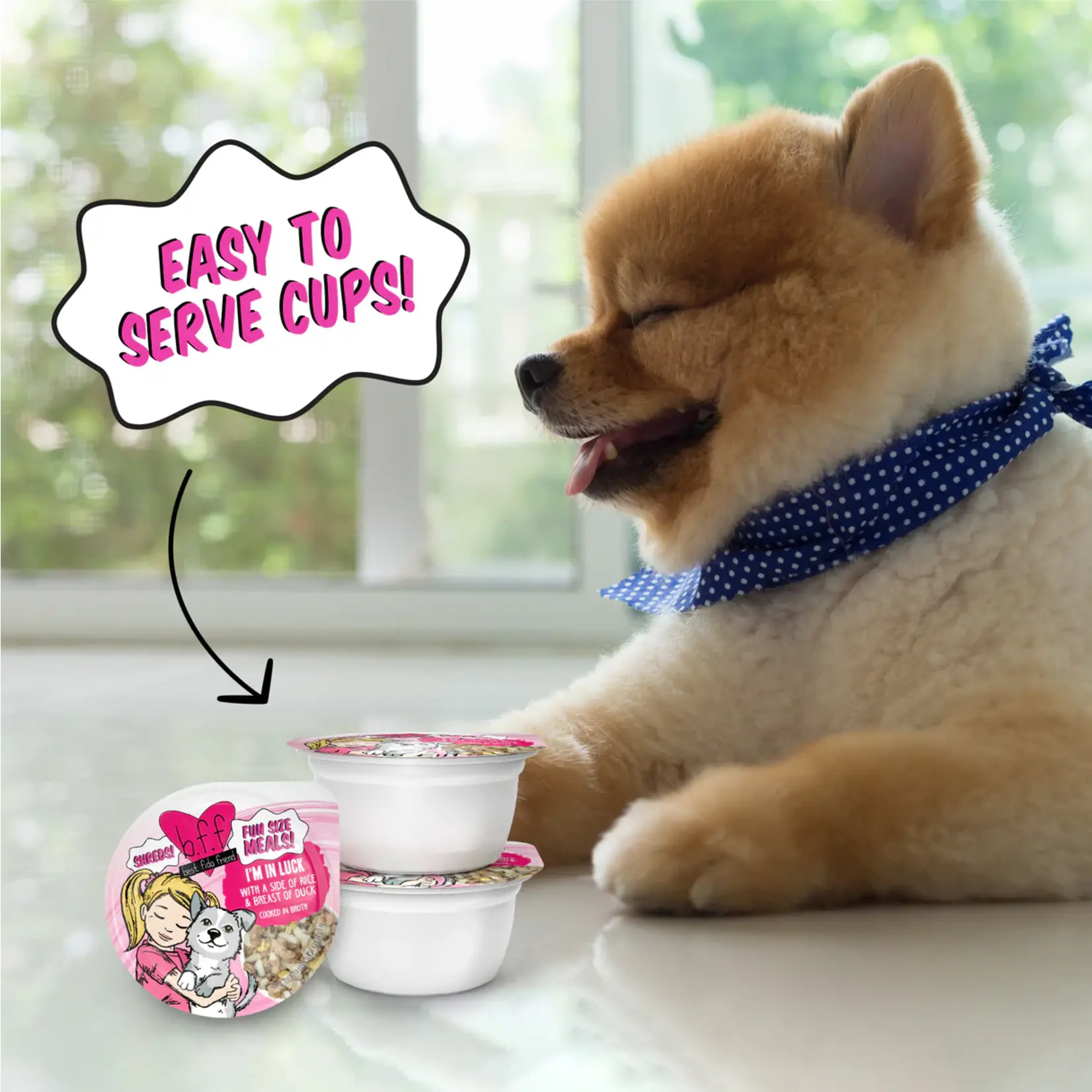 Weruva Werua I'm in Luck Dog Wet Food Rice & Breast of Duck Fun Size 2.75Oz