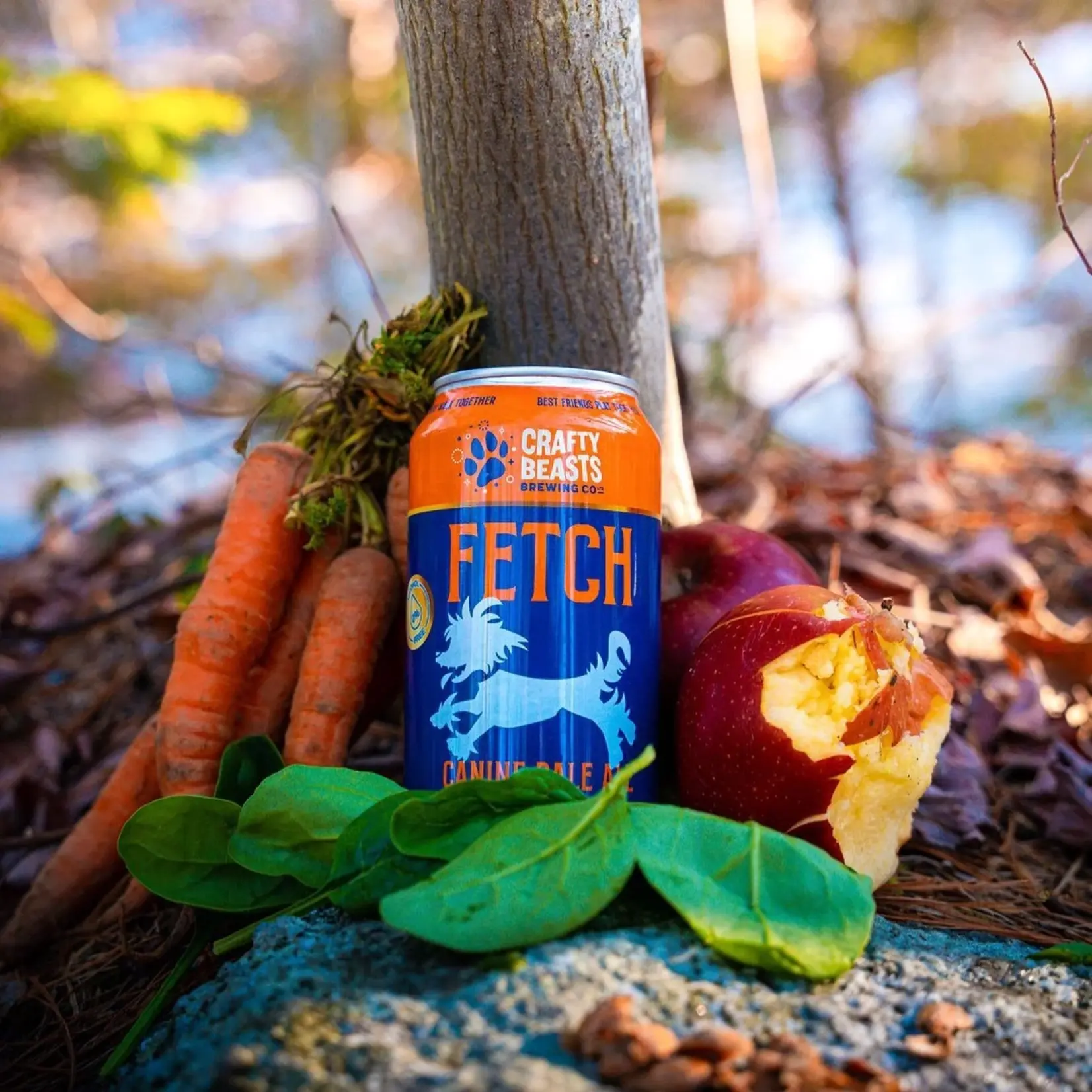 Crafty Beasts Crafty Beasts Fetch Canine Broth Pale Ale 355ml