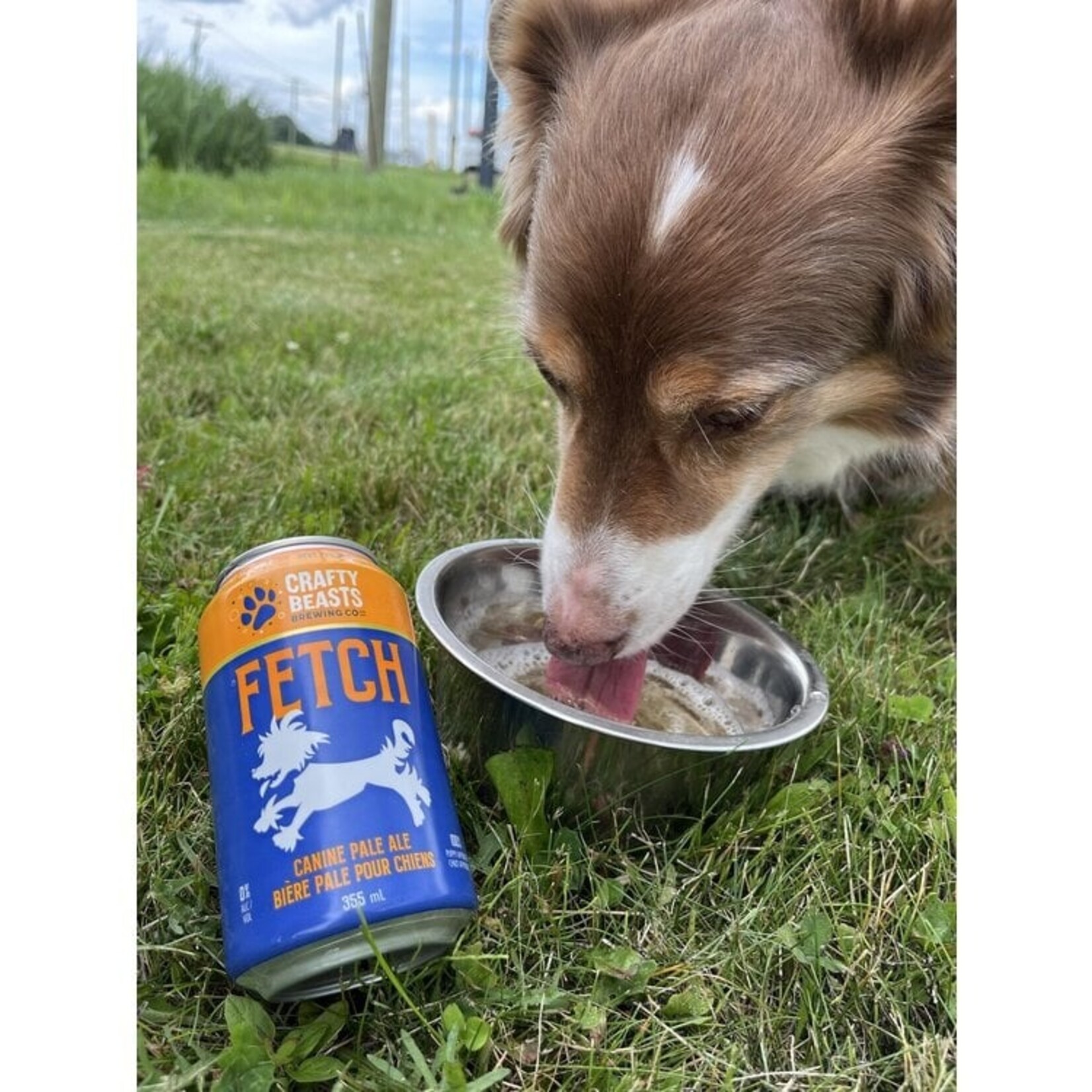 Crafty Beasts Crafty Beasts Fetch Canine Broth Pale Ale 355ml