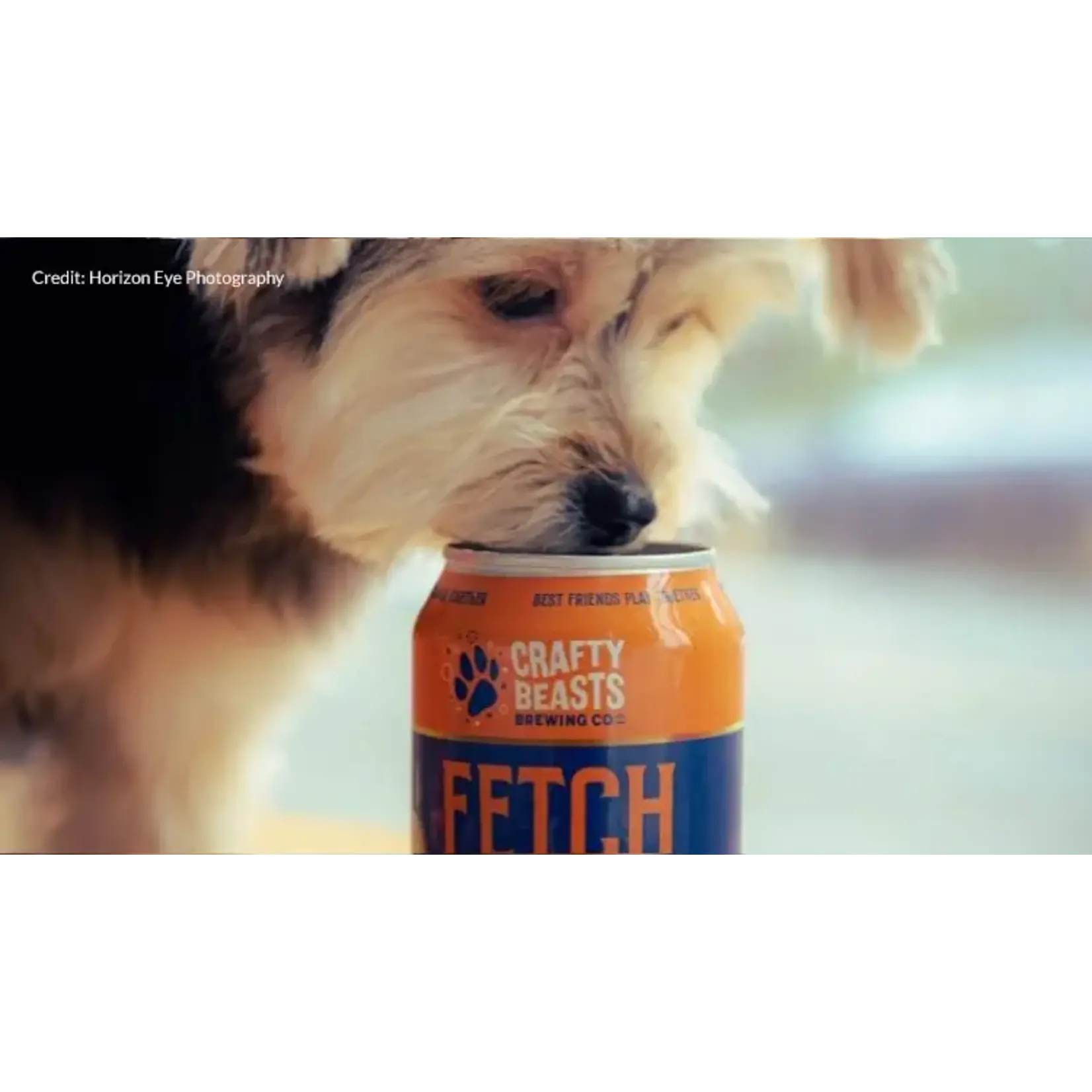 Crafty Beasts Crafty Beasts Fetch Canine Broth Pale Ale 355ml