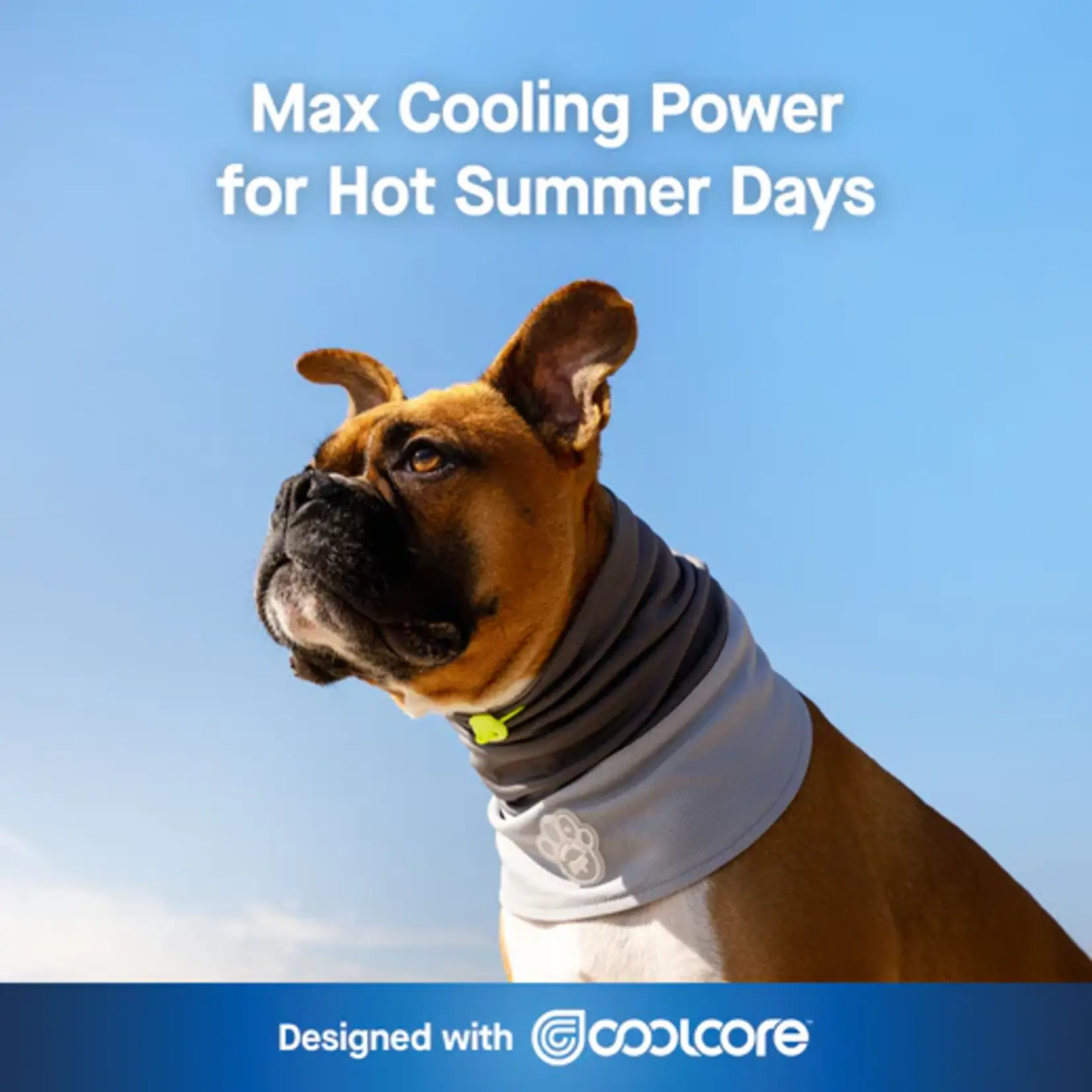 Canada Pooch Canada Pooch Max Chill Cooling Snood Grey