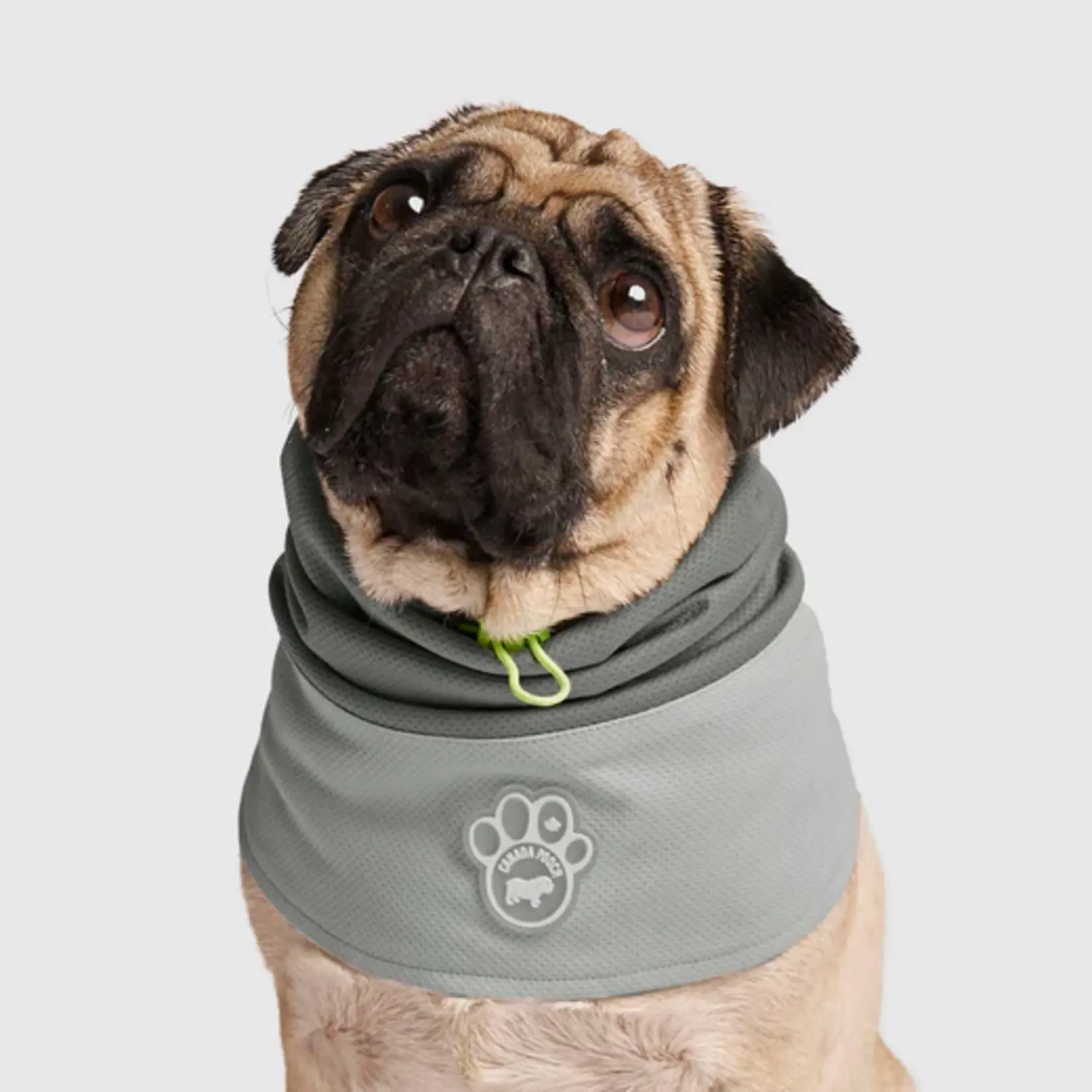 Canada Pooch Canada Pooch Max Chill Cooling Snood Grey