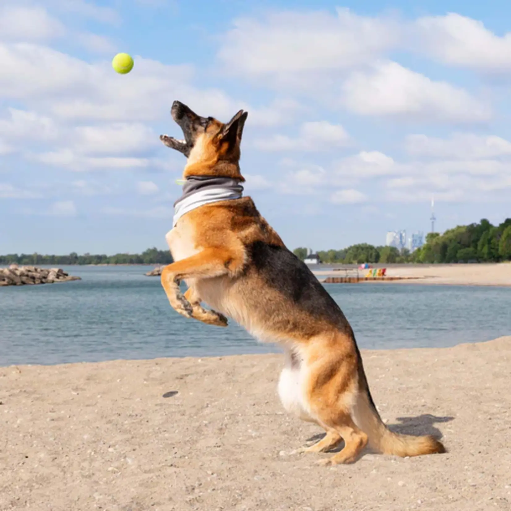 Canada Pooch Canada Pooch Max Chill Cooling Snood Grey