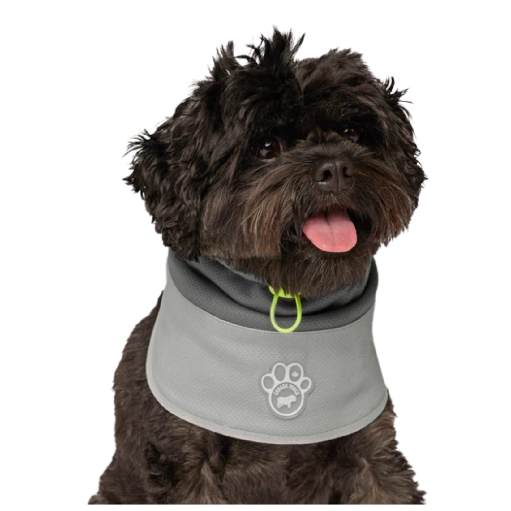 Canada Pooch Canada Pooch Max Chill Cooling Snood Grey