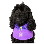 Canada Pooch Canada Pooch Max Chill Colling Snood Purple