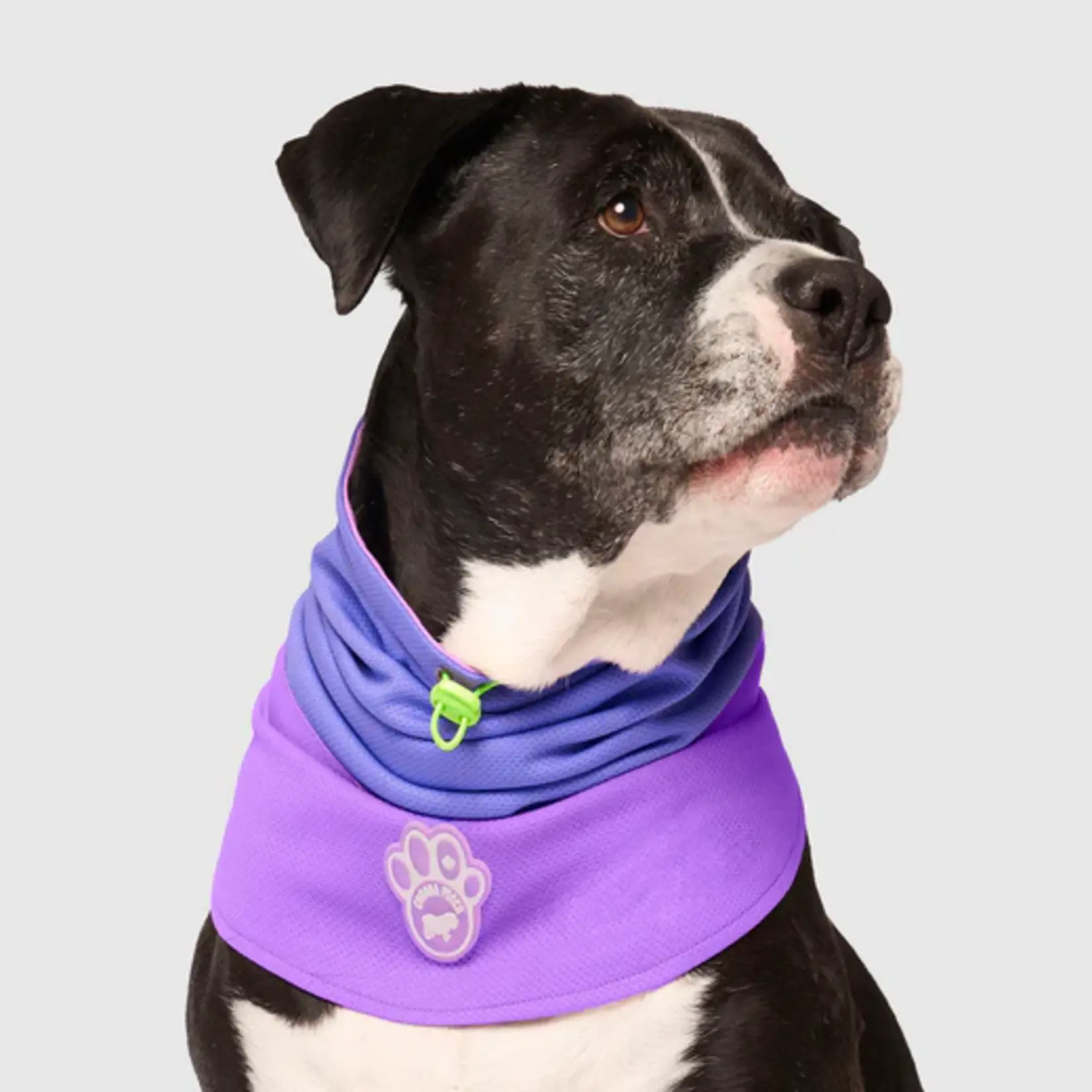 Canada Pooch Canada Pooch Max Chill Colling Snood Purple
