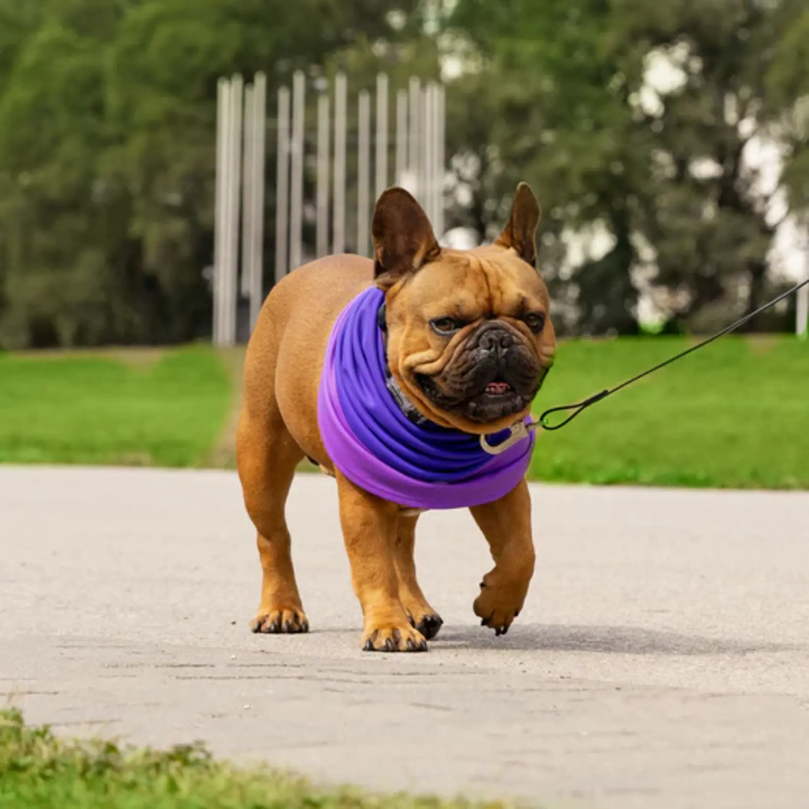 Canada Pooch Canada Pooch Max Chill Colling Snood Purple
