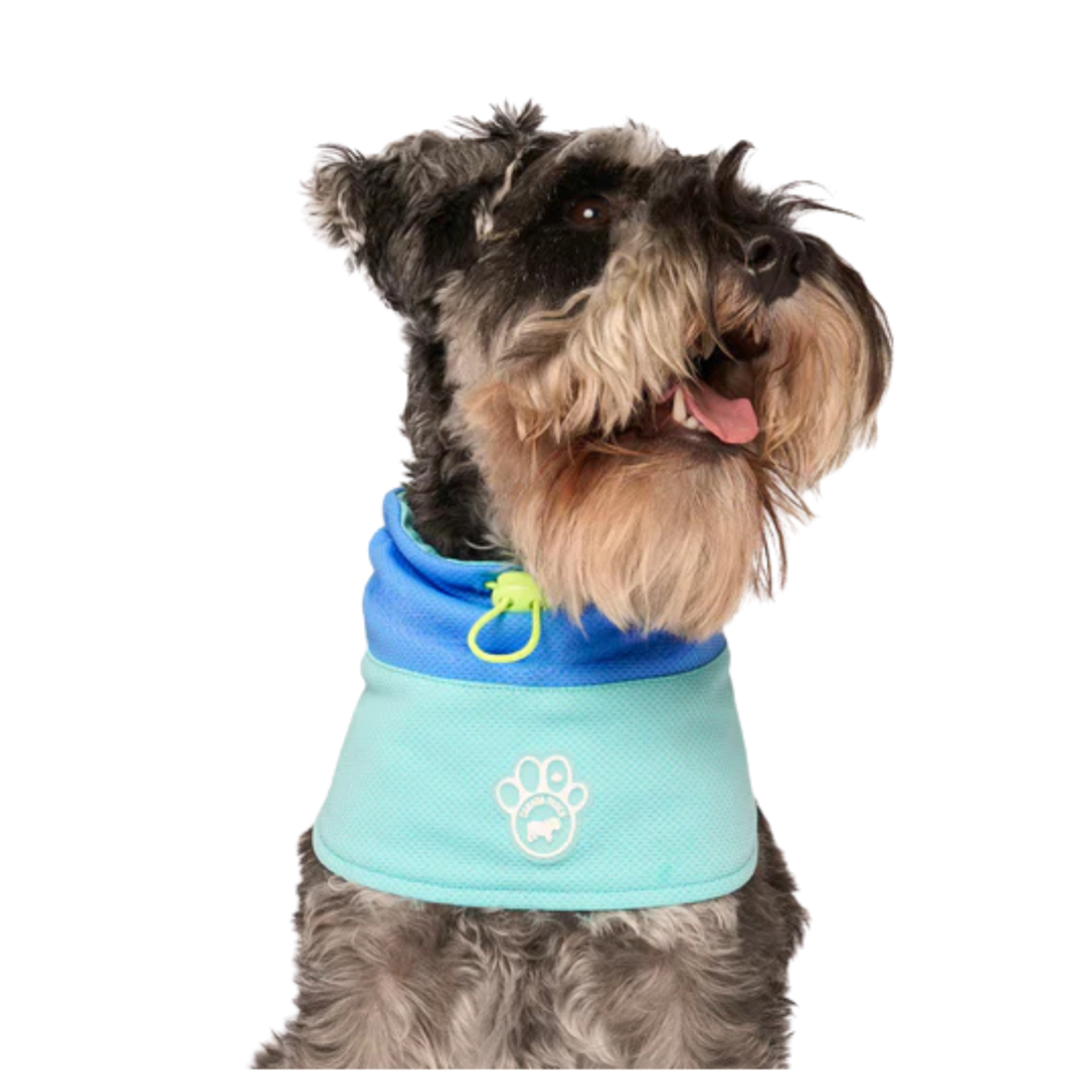 Canada Pooch Canada Pooch Max Chill Cooling Snood Blue