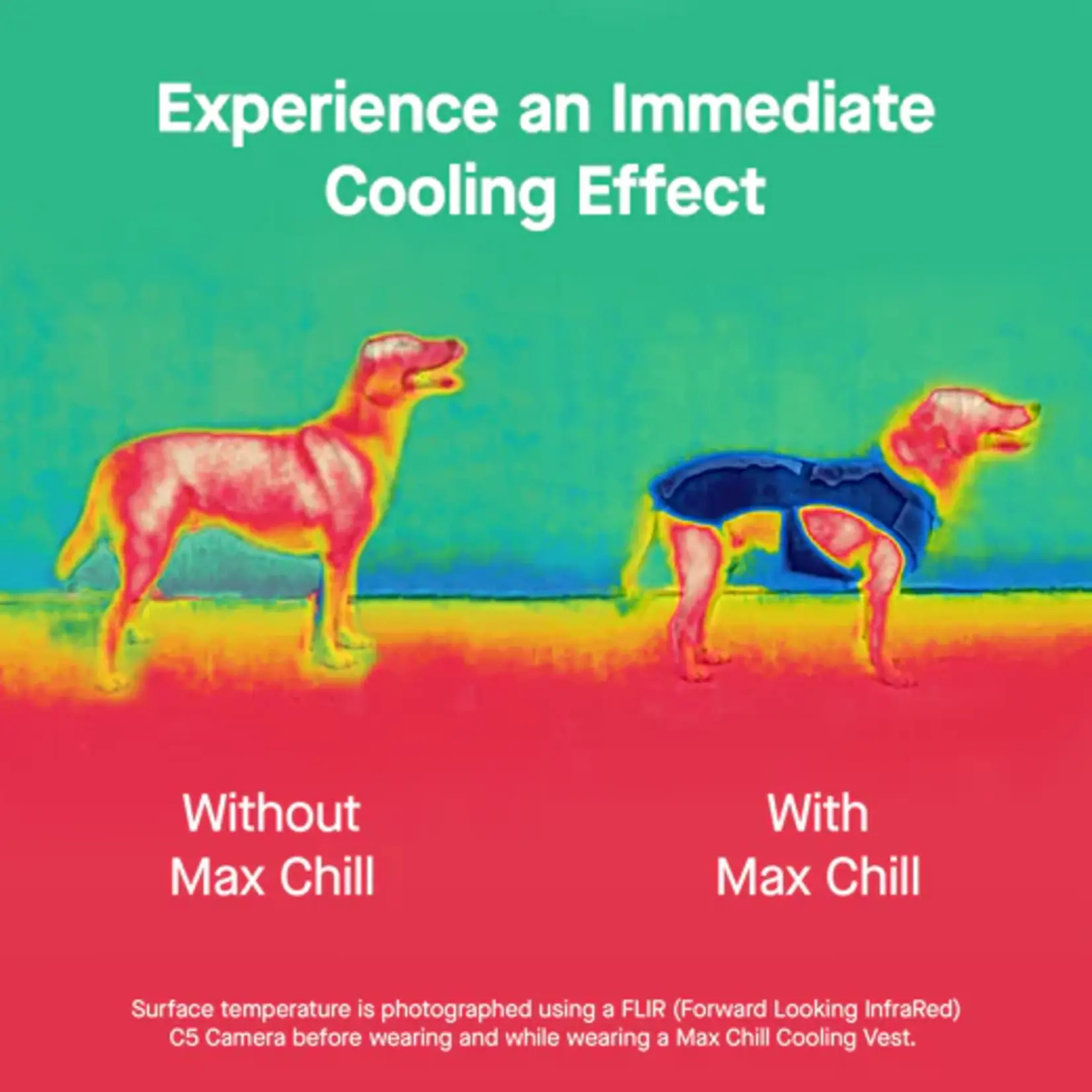 Canada Pooch Canada Pooch Max Chill Cooling Snood Blue