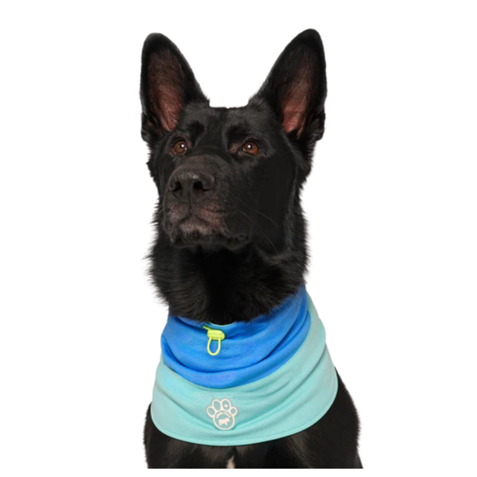 Canada Pooch Canada Pooch Max Chill Cooling Snood Blue
