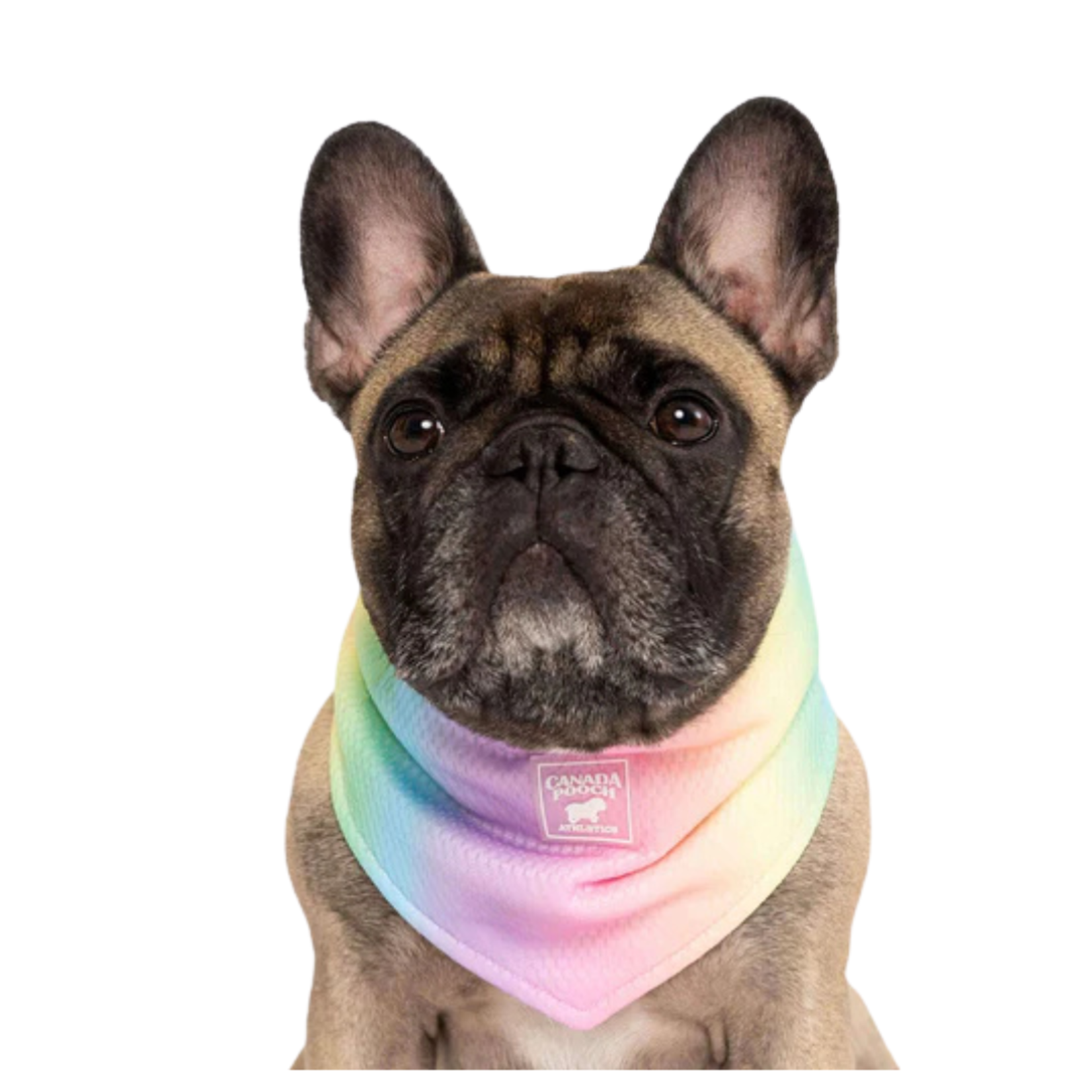 Canada Pooch Canada Pooch Cooling Bandana Rainbow