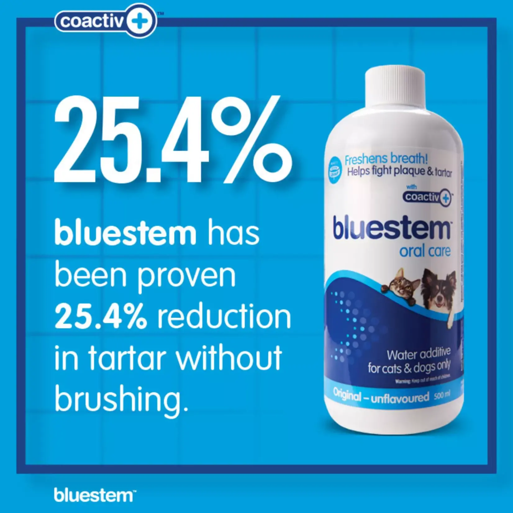 Bluestem Oral care Water Additive